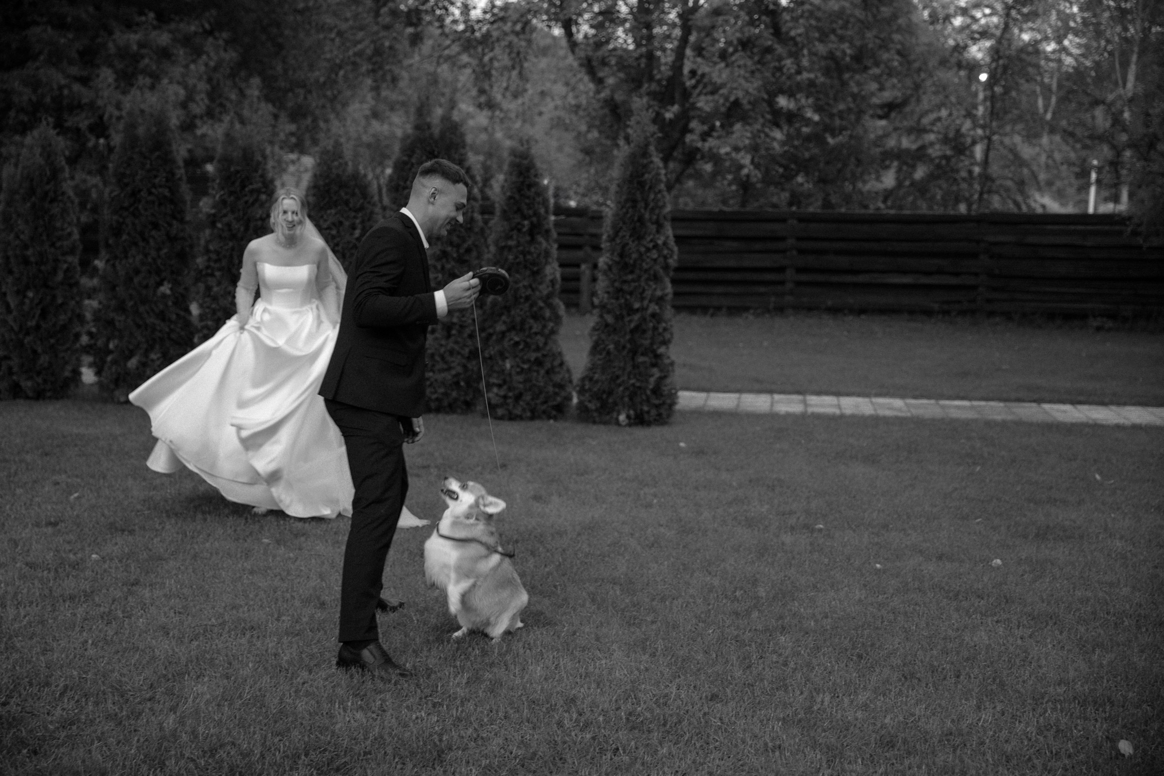 Свадьба пес и котики. Dima Lemeshevsky