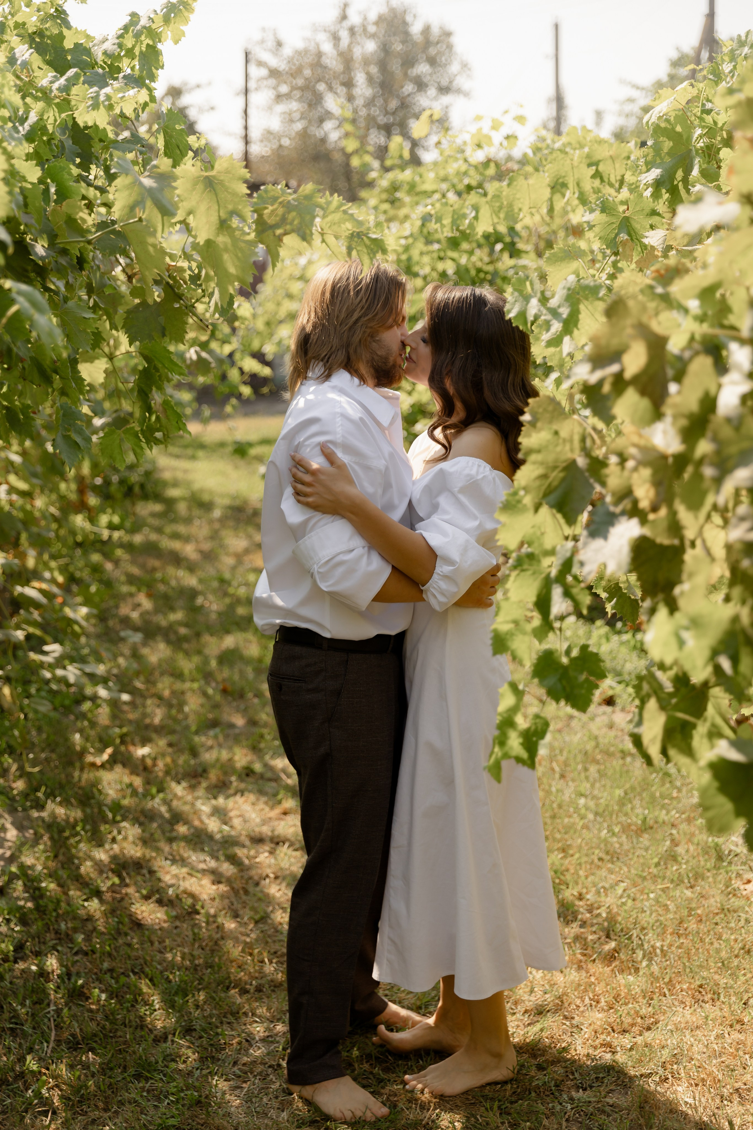 Виноградники. Dima Lemeshevsky