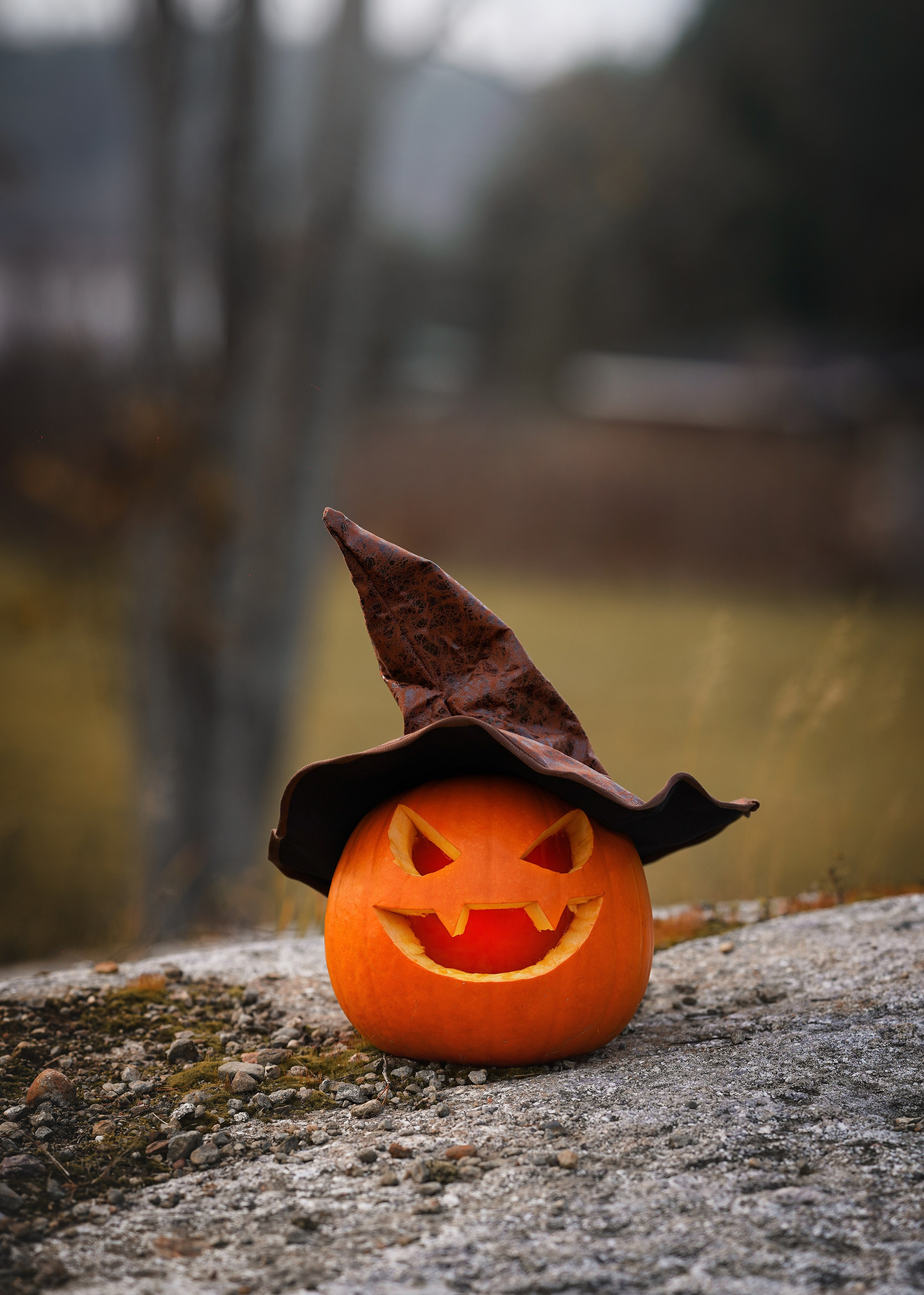 Нала, Панда и Юни Halloween. Фотограф-анималист в Санкт-Петербурге Яна Мартынова