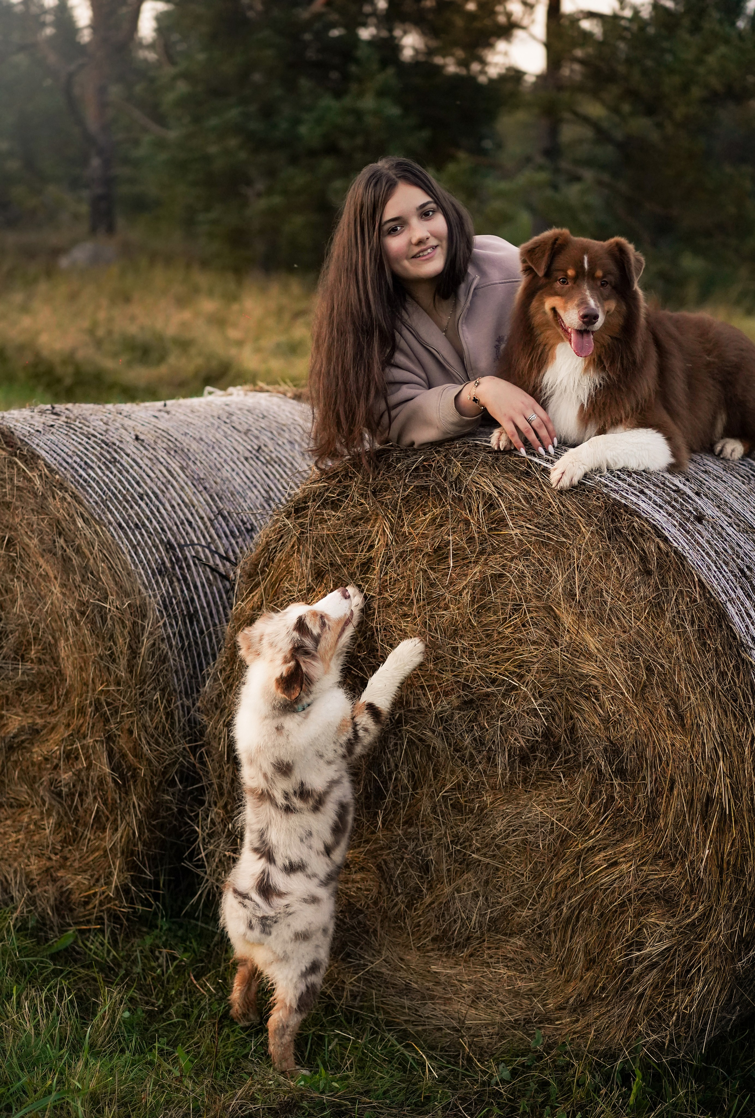 Кристина Рокки и Энерджи Карелия. Фотограф-анималист в Санкт-Петербурге Яна Мартынова