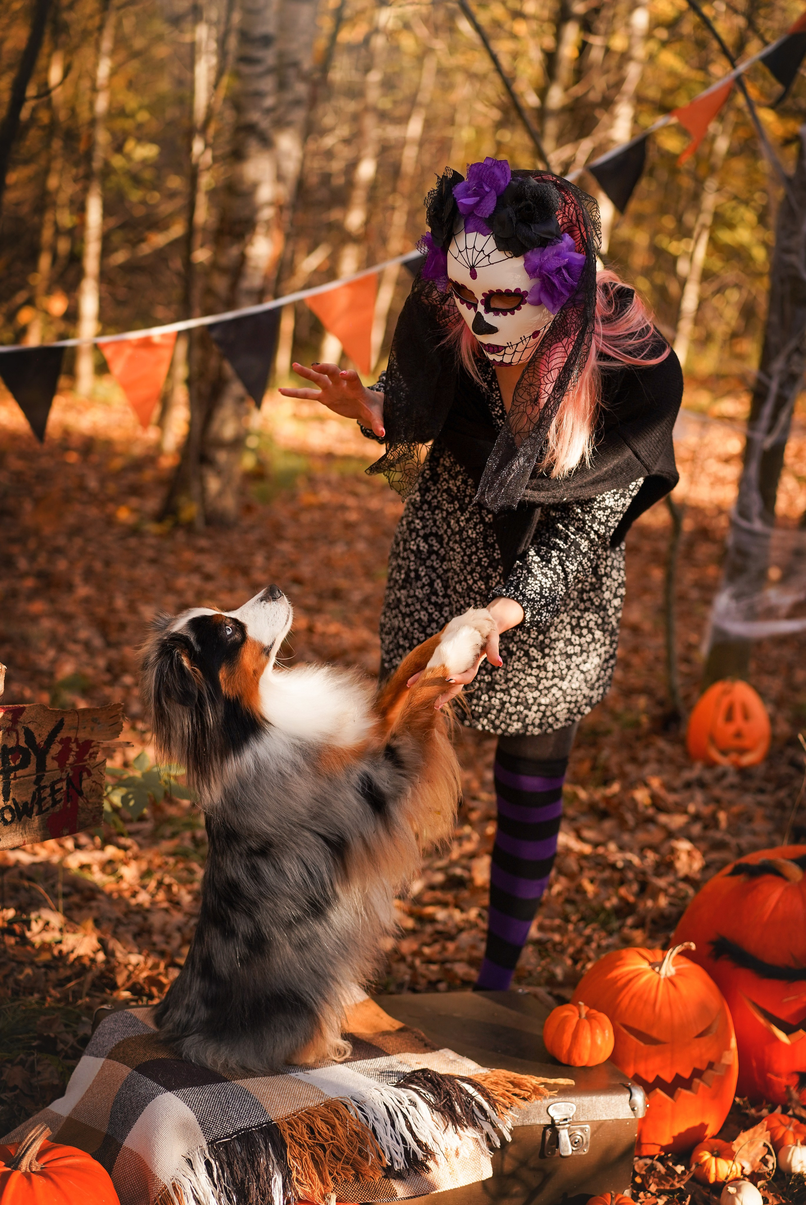 Фотодень Хэллоуин 2. Фотограф-анималист в Санкт-Петербурге Яна Мартынова