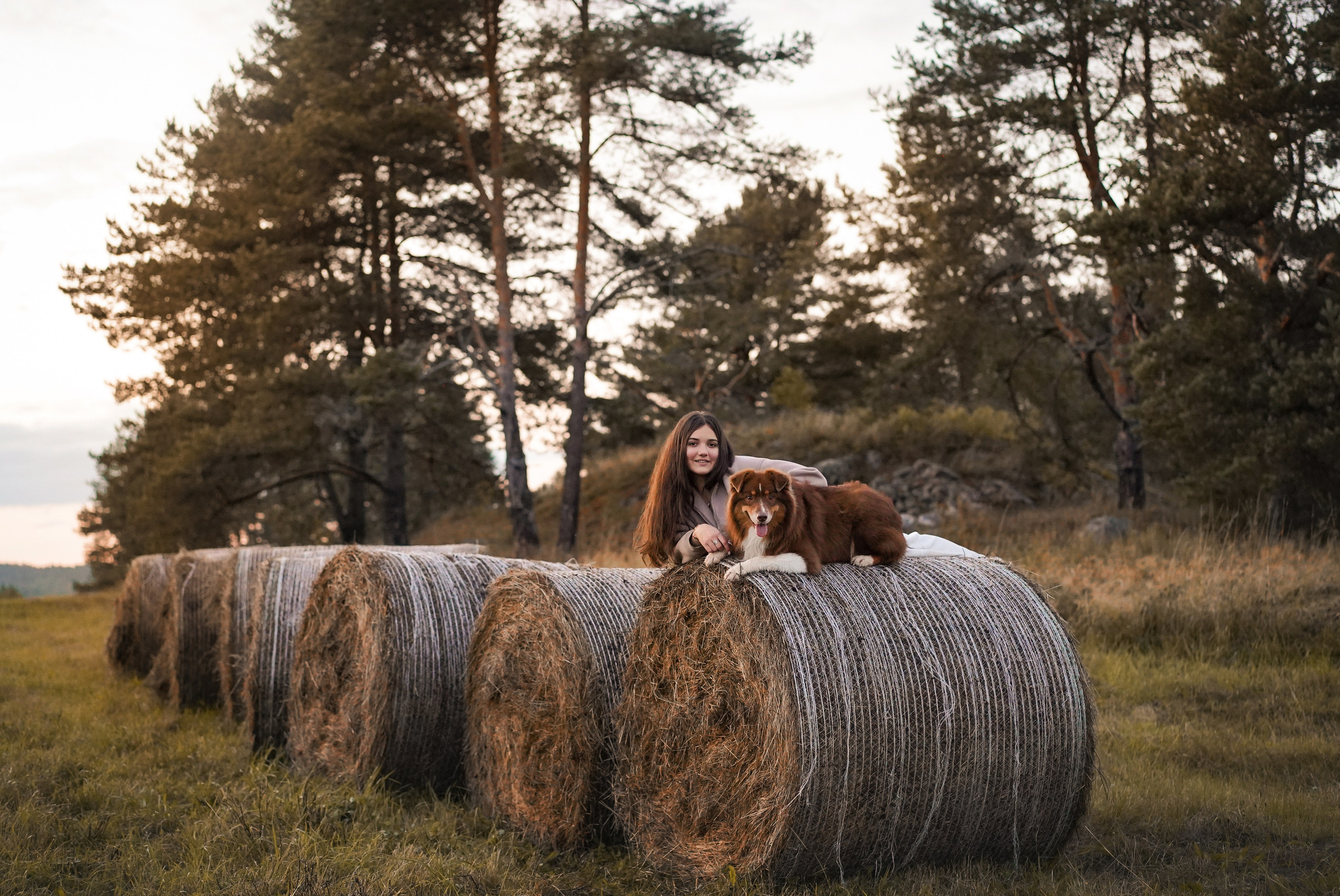 Кристина Рокки и Энерджи Карелия. Фотограф-анималист в Санкт-Петербурге Яна Мартынова