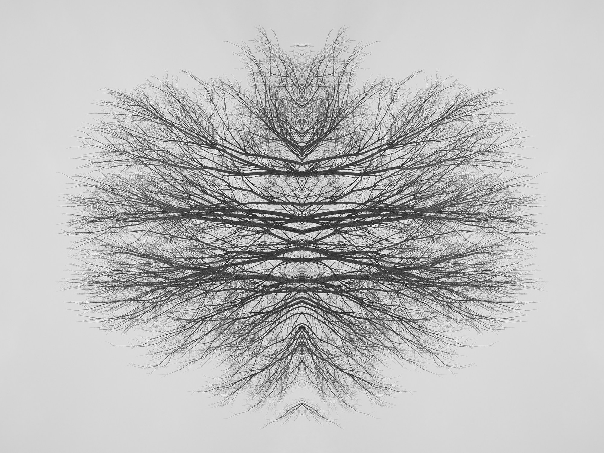 Острова. Анна Порошина — междисциплинарный художник