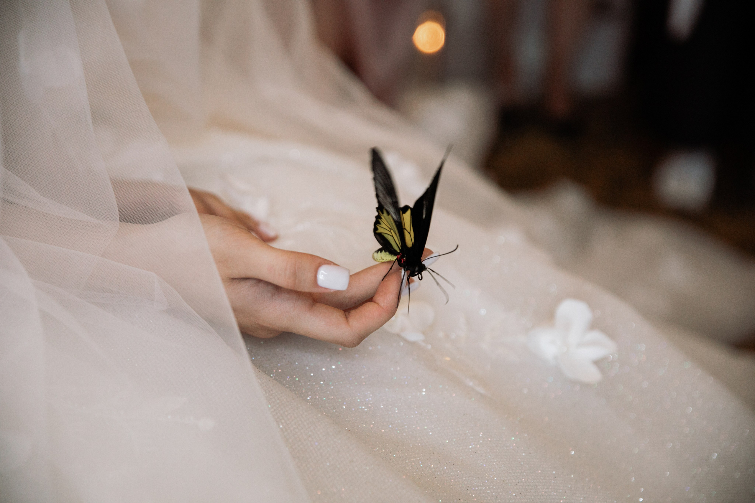 Марина & Давид. Фотограф Амирян Марина