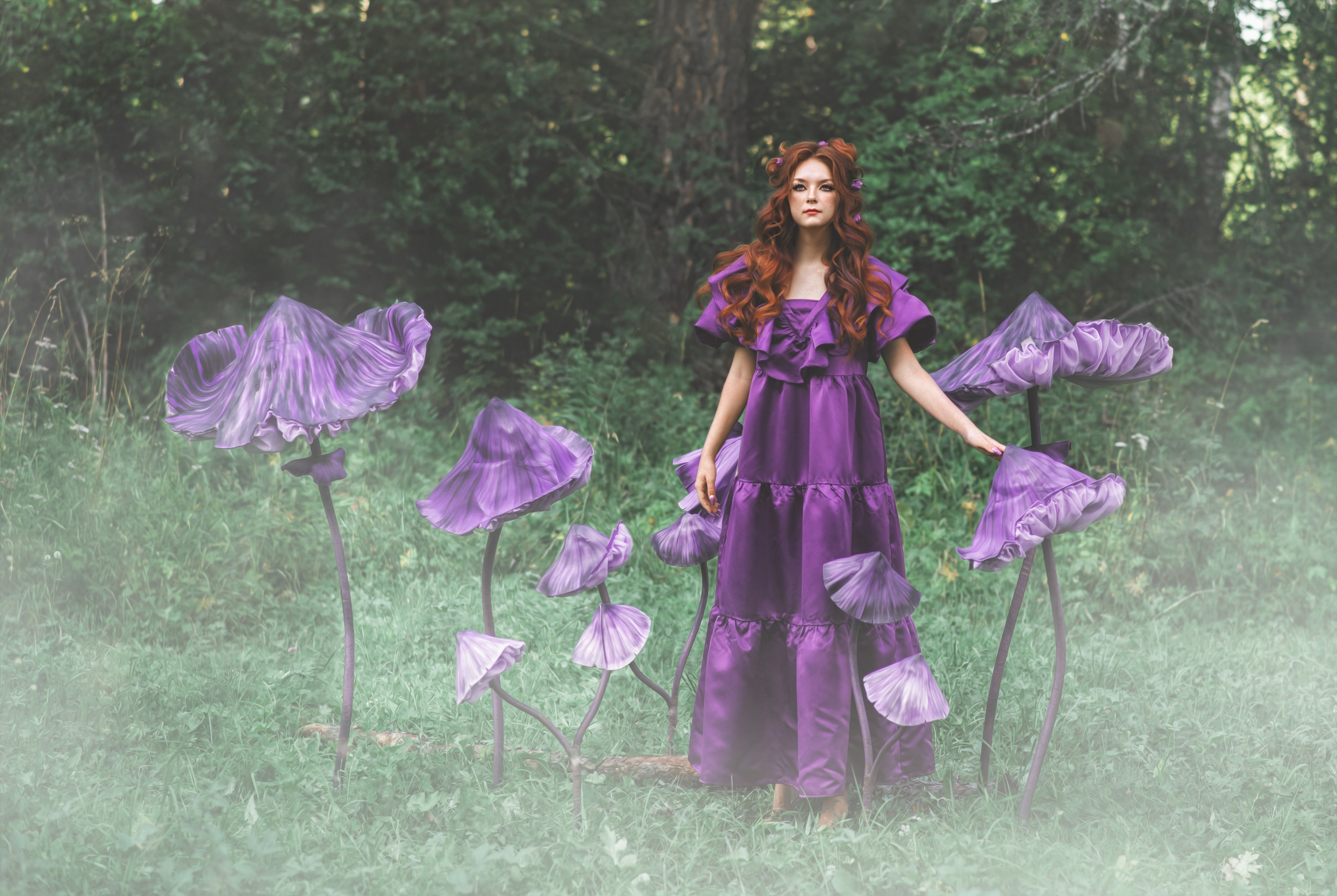 Грибы. Фотограф  г. Миасс, г. Челябинск