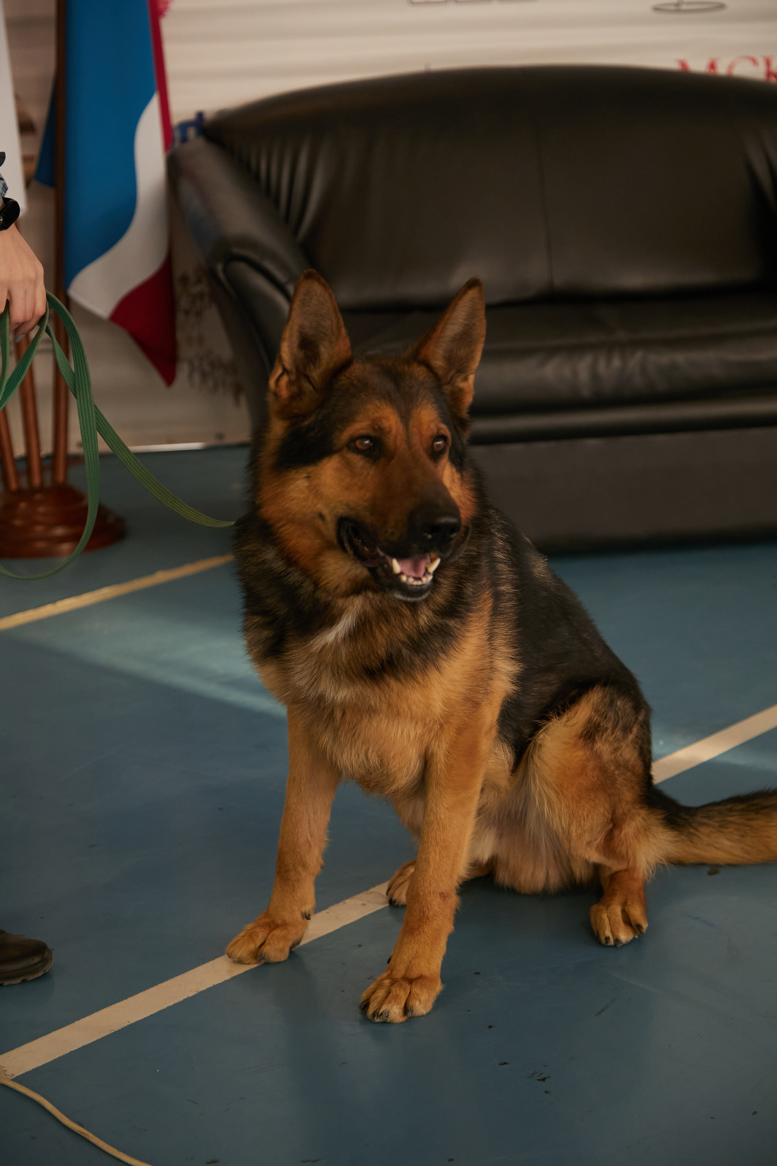 Чемпионат по пилонному спорту Краснодарский край. Свадебный и креативный фотограф в ЮФО и МСК