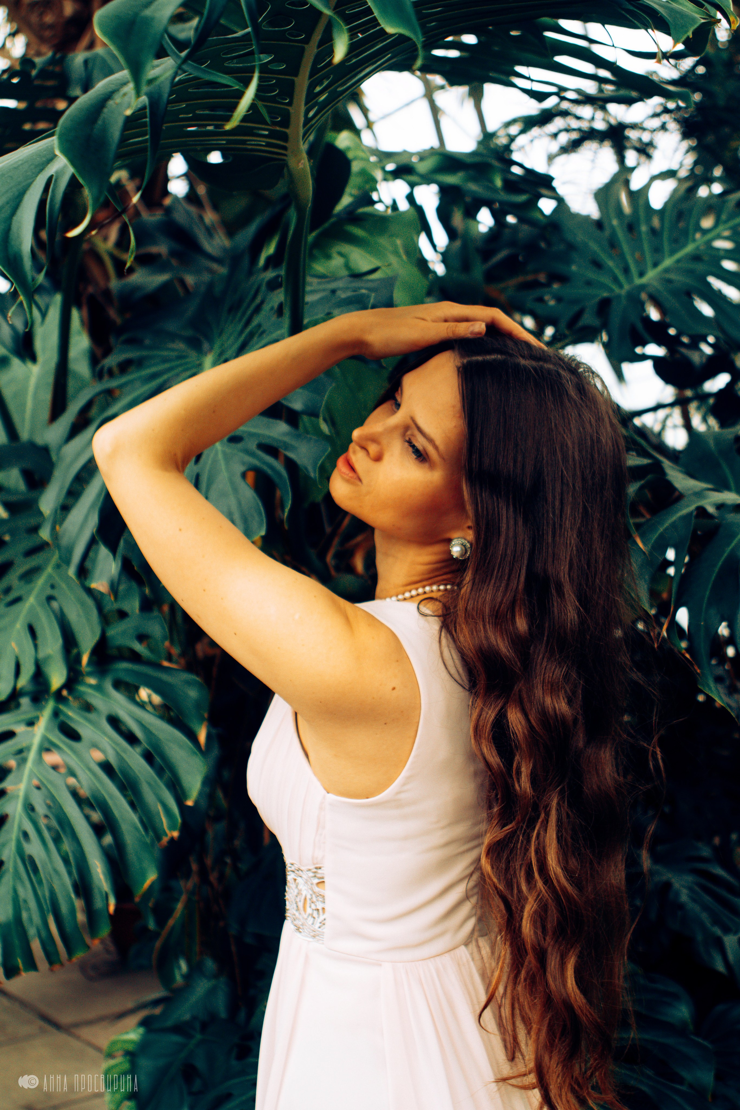 Фотодень в оранжерее Таврического Сада. Ваш фотограф в Санкт-Петербурге Анна Просвирина