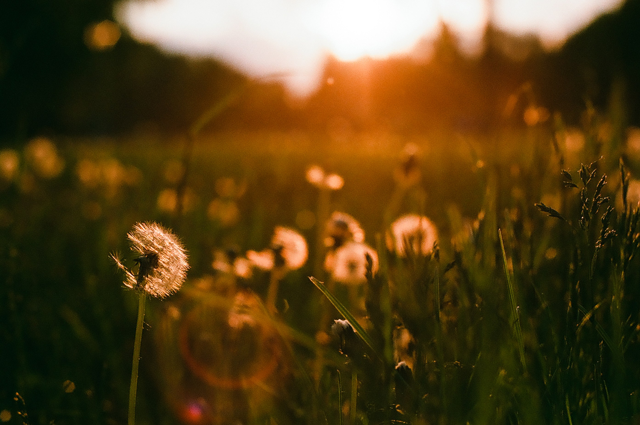 Contact Me. Photographer Yulia Lushnikova, Based in Valencia