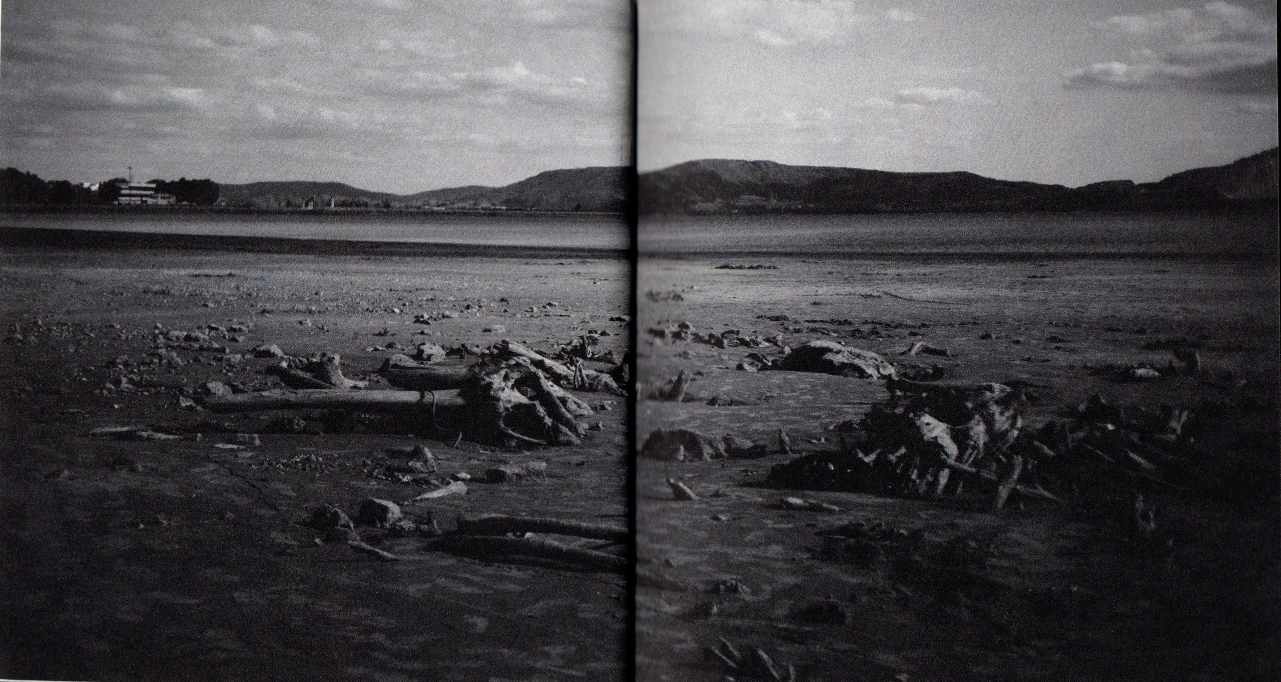 Деревья, которые дают сил. Фотограф Анна Кирнос