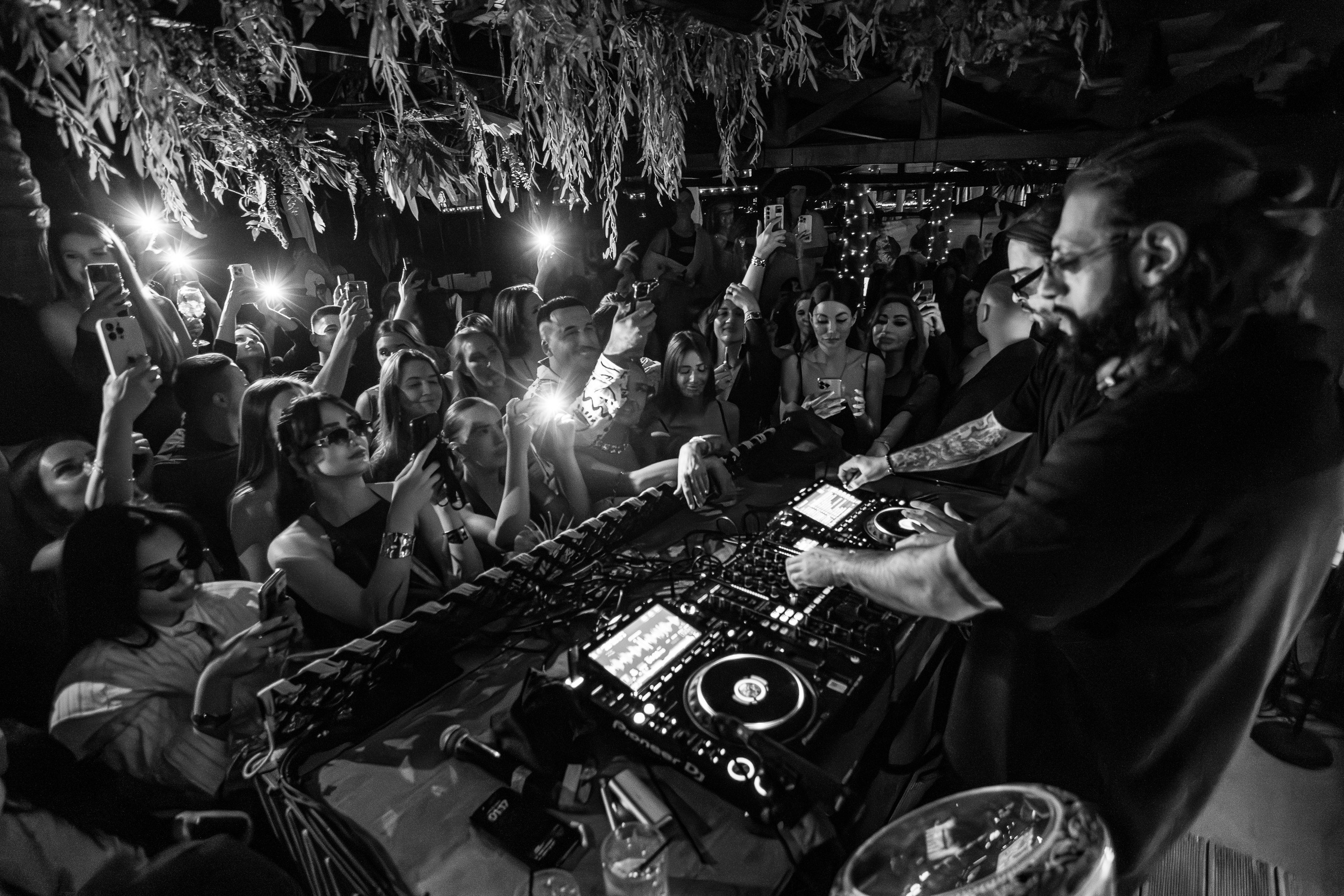 «Karena Makarena"_Чайка на пляже_ Ялта_6.06.2025 г. Аминов Руслан | Фотограф