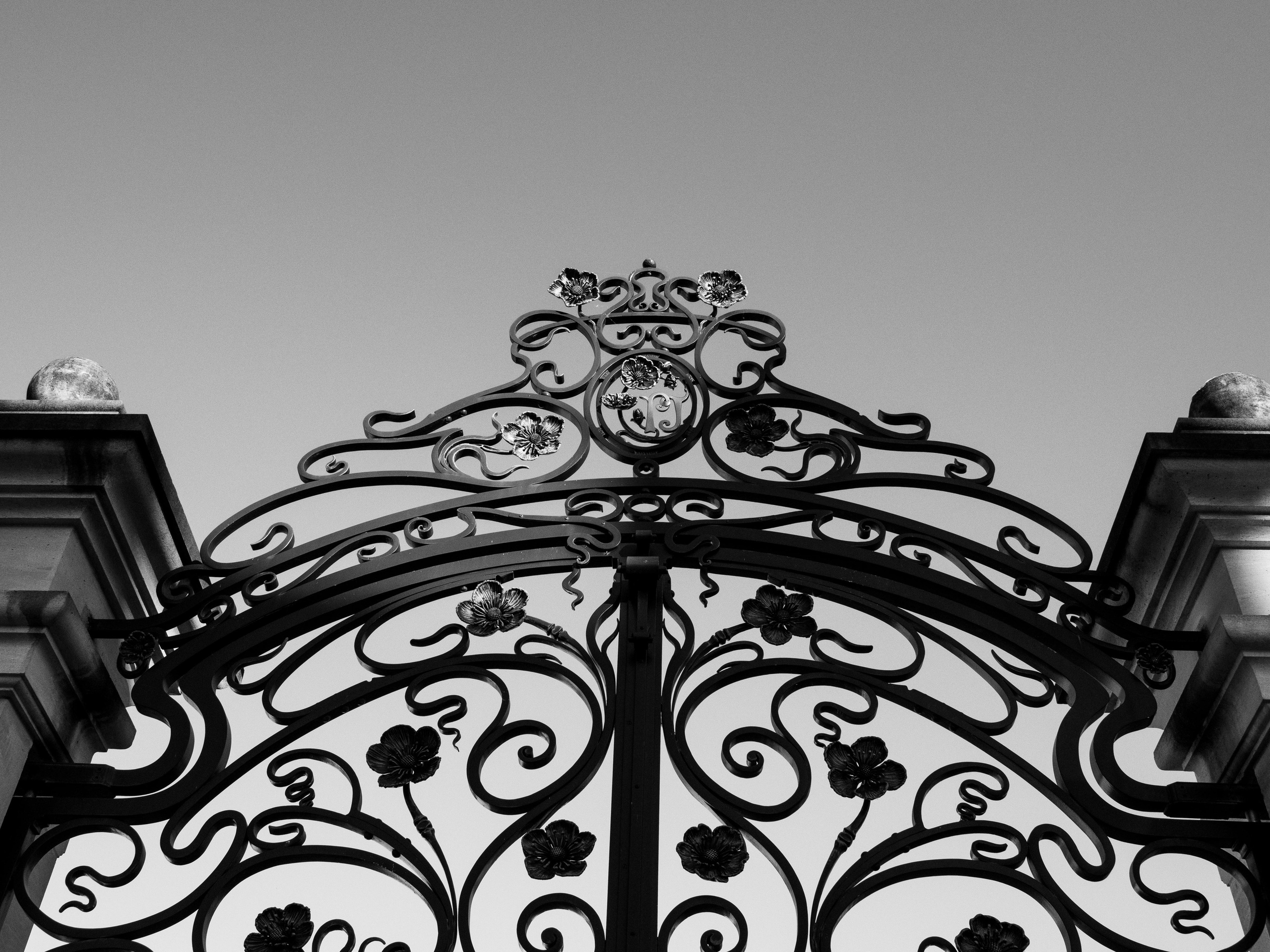 Champagne 2025. Фотограф в Крыму Алевтина Швец