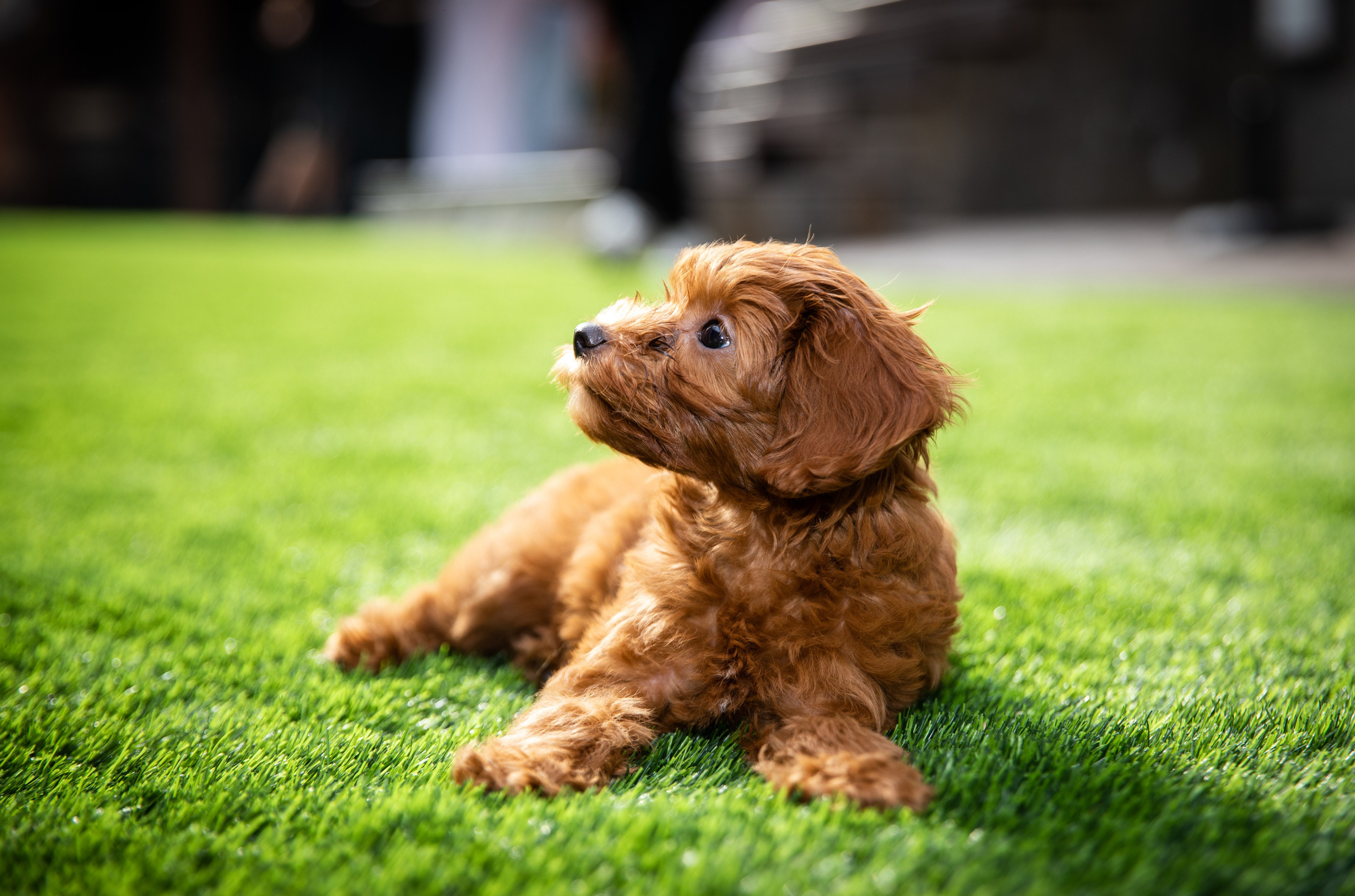 День Рождения Егорки -2025. VoronEvent. Репортажный и свадебный фотограф в Челябинске Елисеев Павел