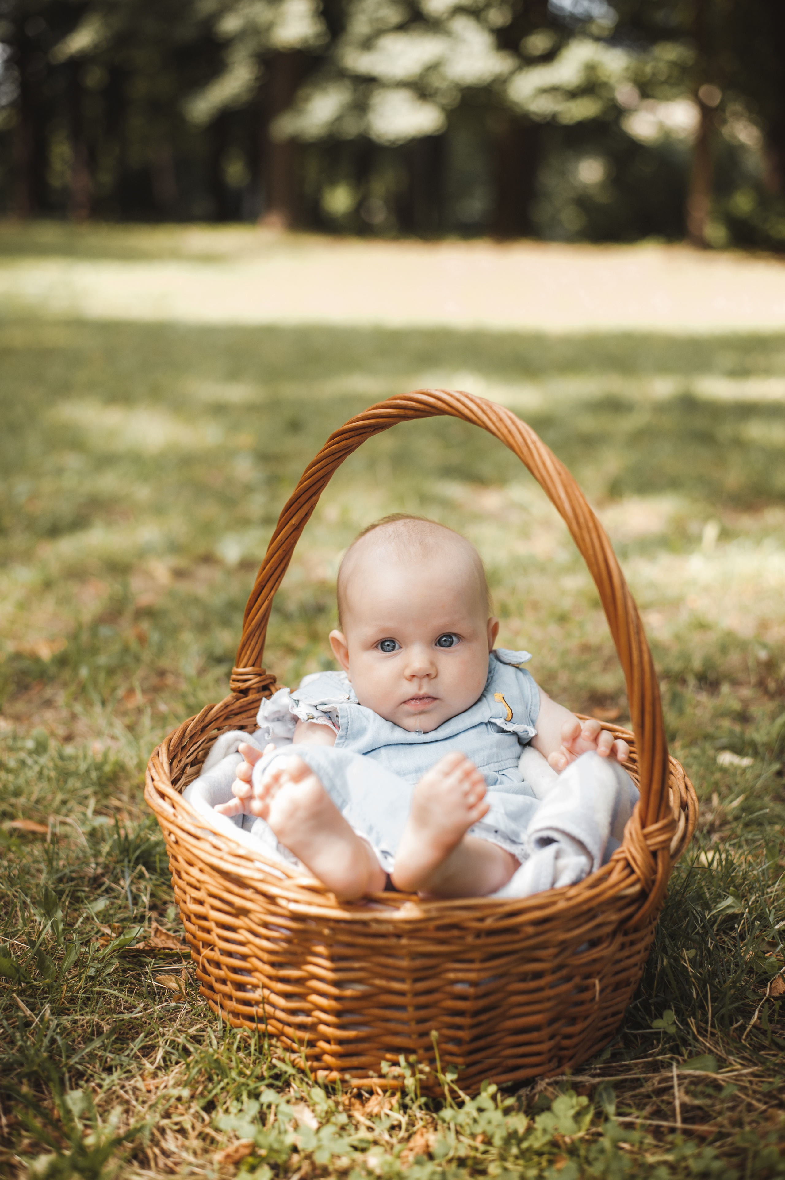 Марк, Катя и Василиса. Семейный и свадебный фотограф в Москве Татьяна Николаева