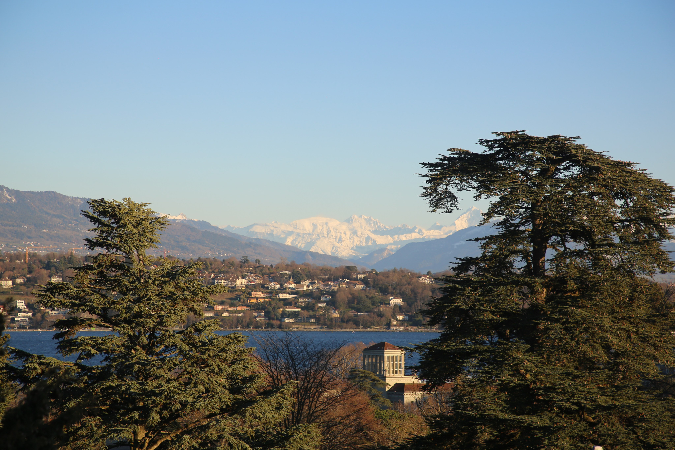 United Nations, Switzerland. Andrey Filippov Photographer