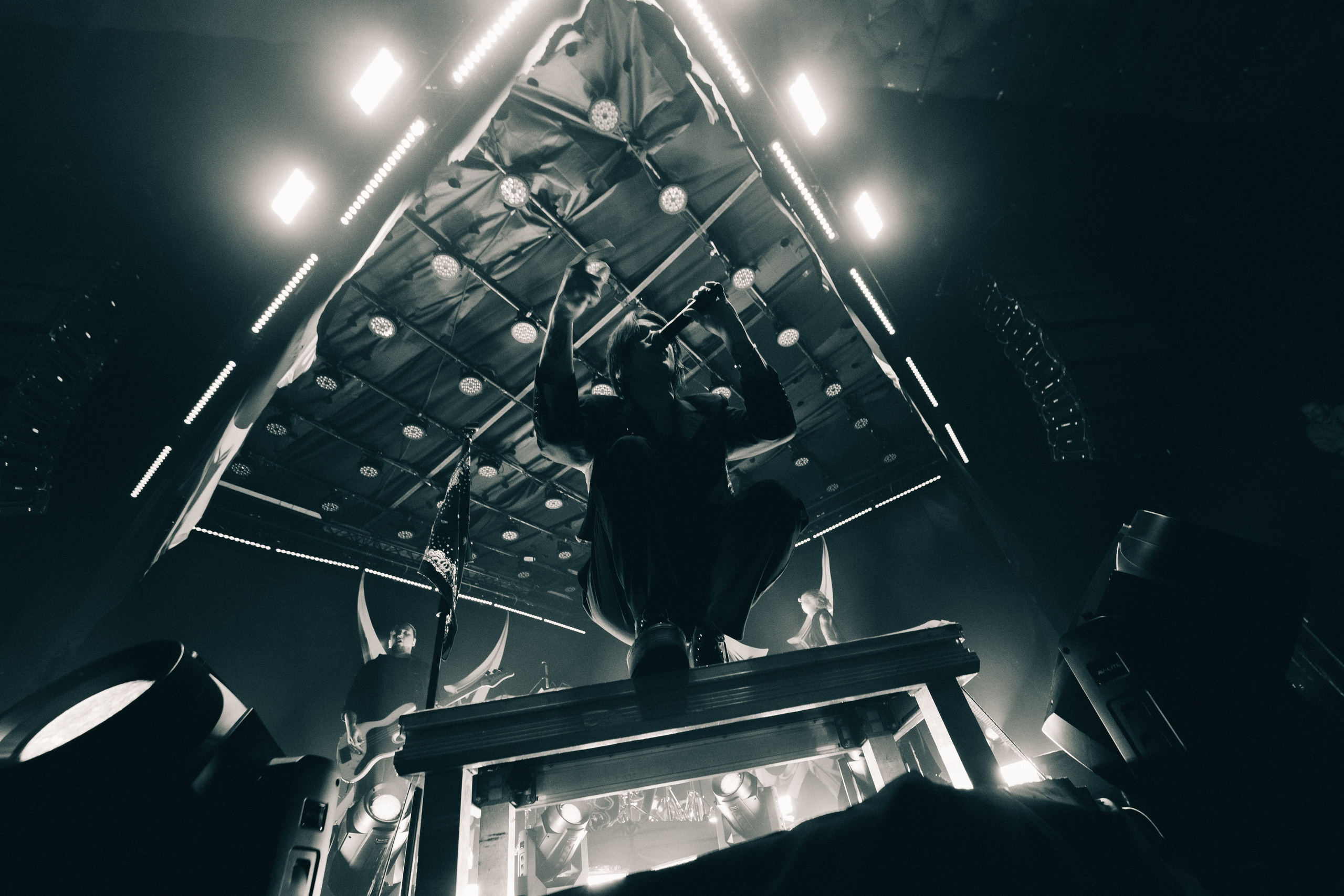 WILDWAYS. PASHAHARCE PHOTOGRAPHER & VIDEOGRAPHER