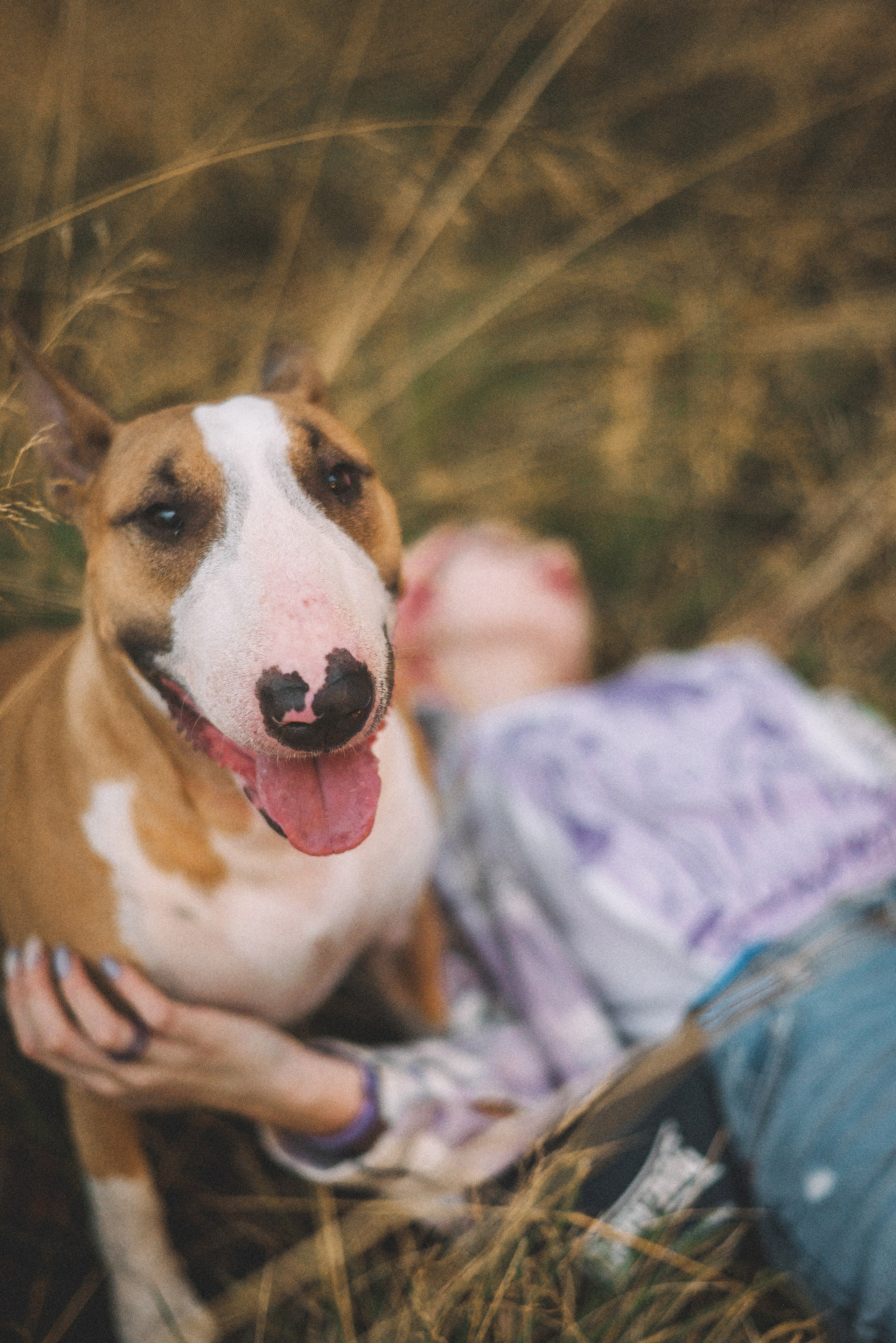 Маша и Рулька. Фотограф-анималист Богданова Полина