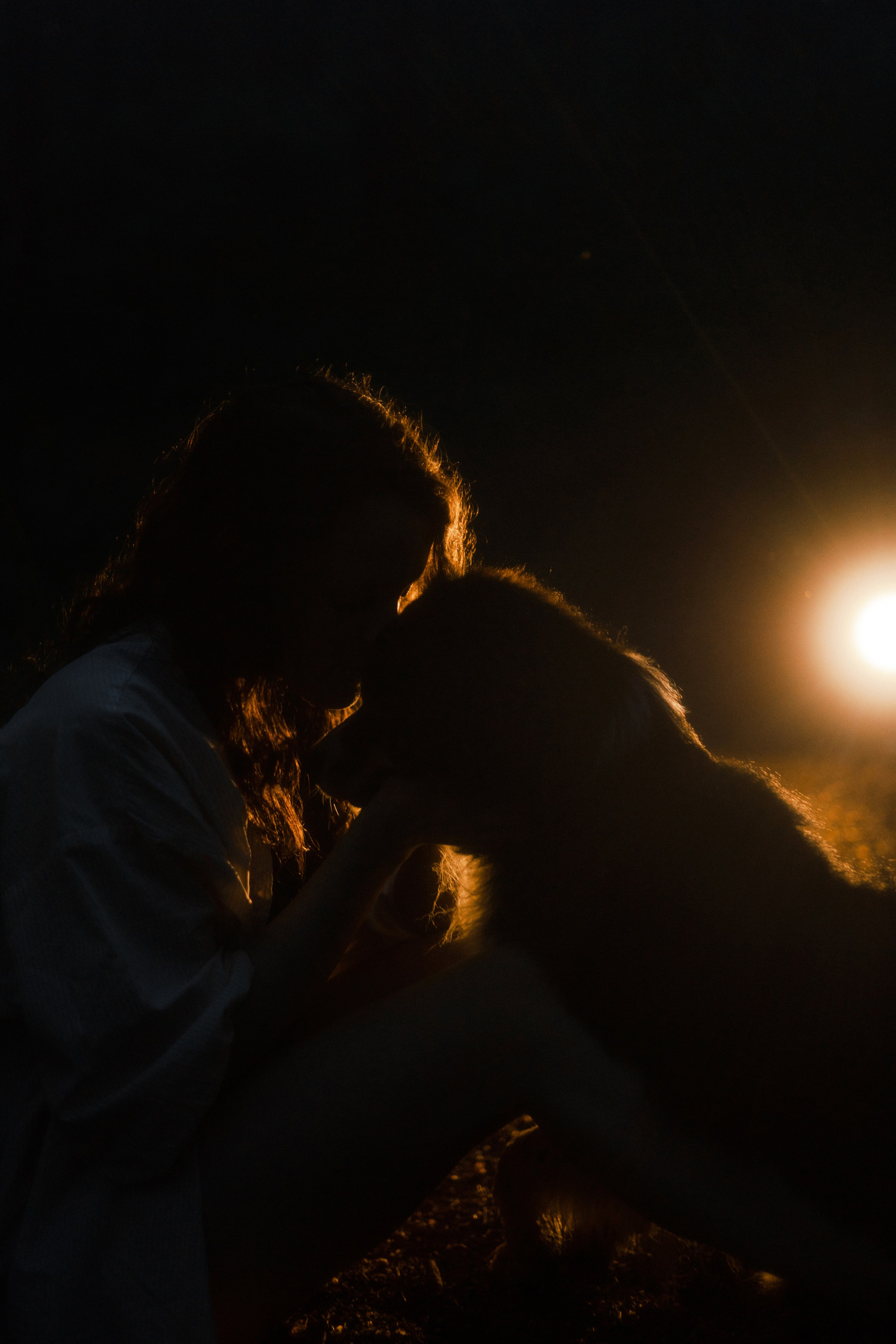 Настя, Шуня, Милка и Тигуан. Фотограф-анималист Богданова Полина