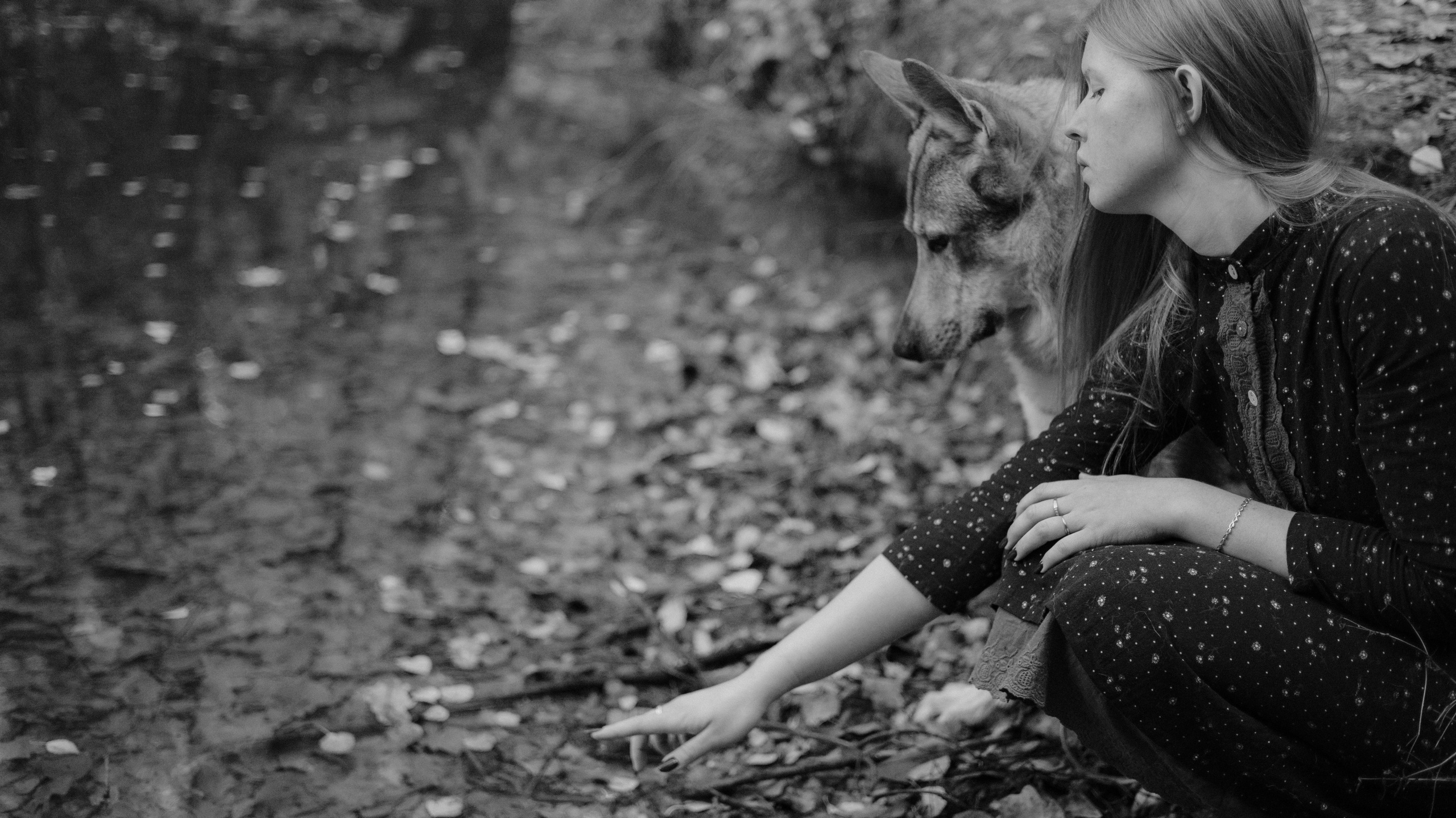 Полина и Вегард. Фотограф-анималист Богданова Полина