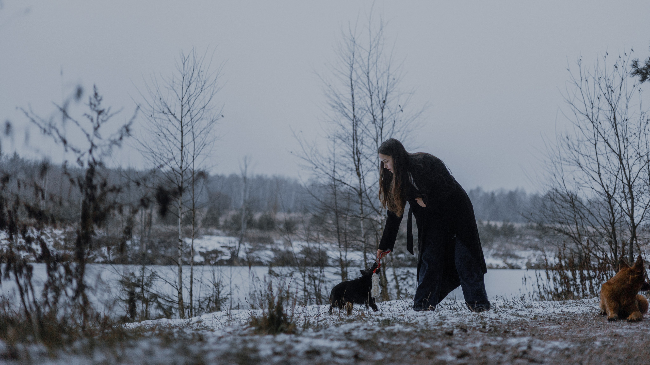 Юля, Лара и Йоми. Фотограф-анималист Богданова Полина