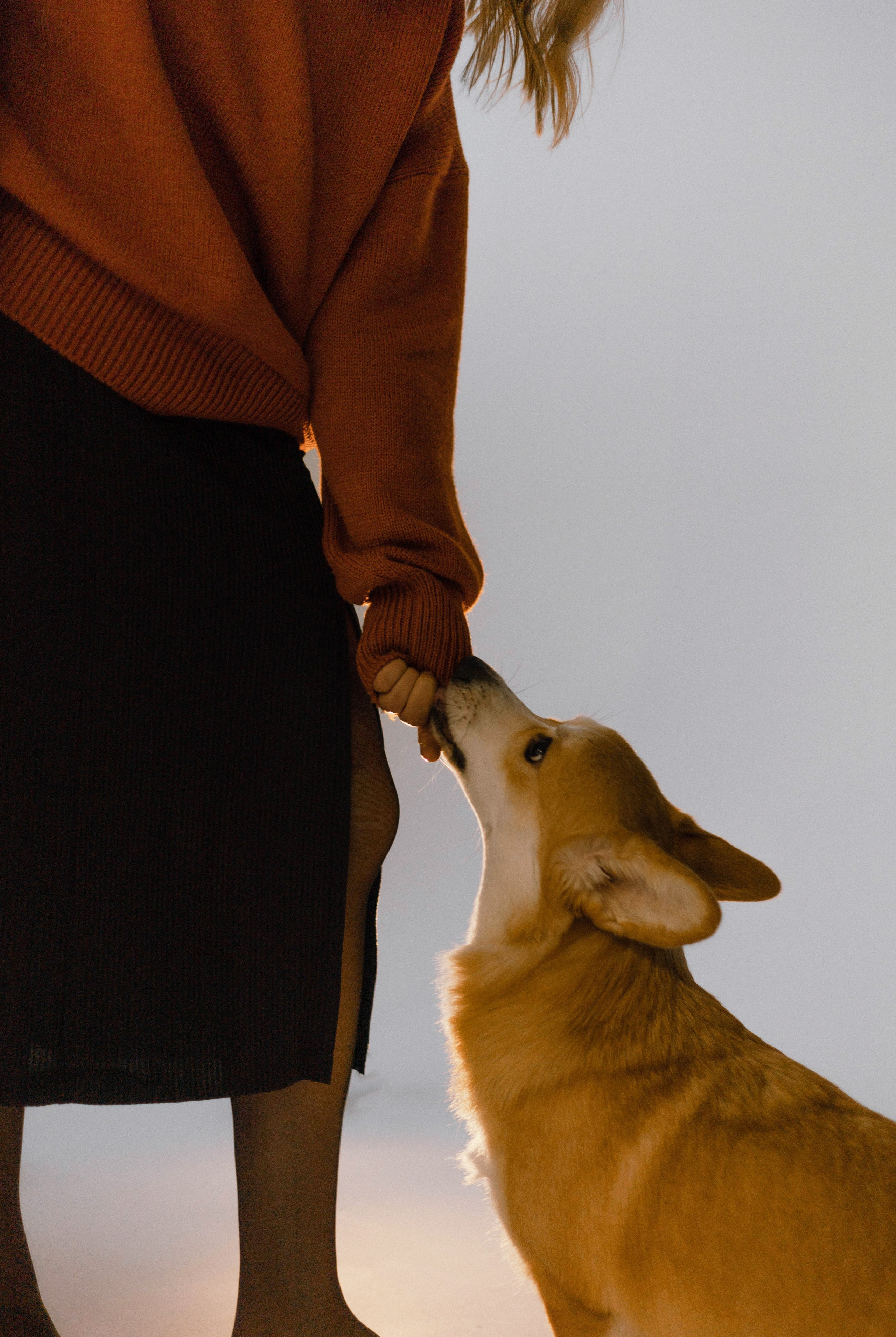 Настя и Мия. Фотограф-анималист Богданова Полина