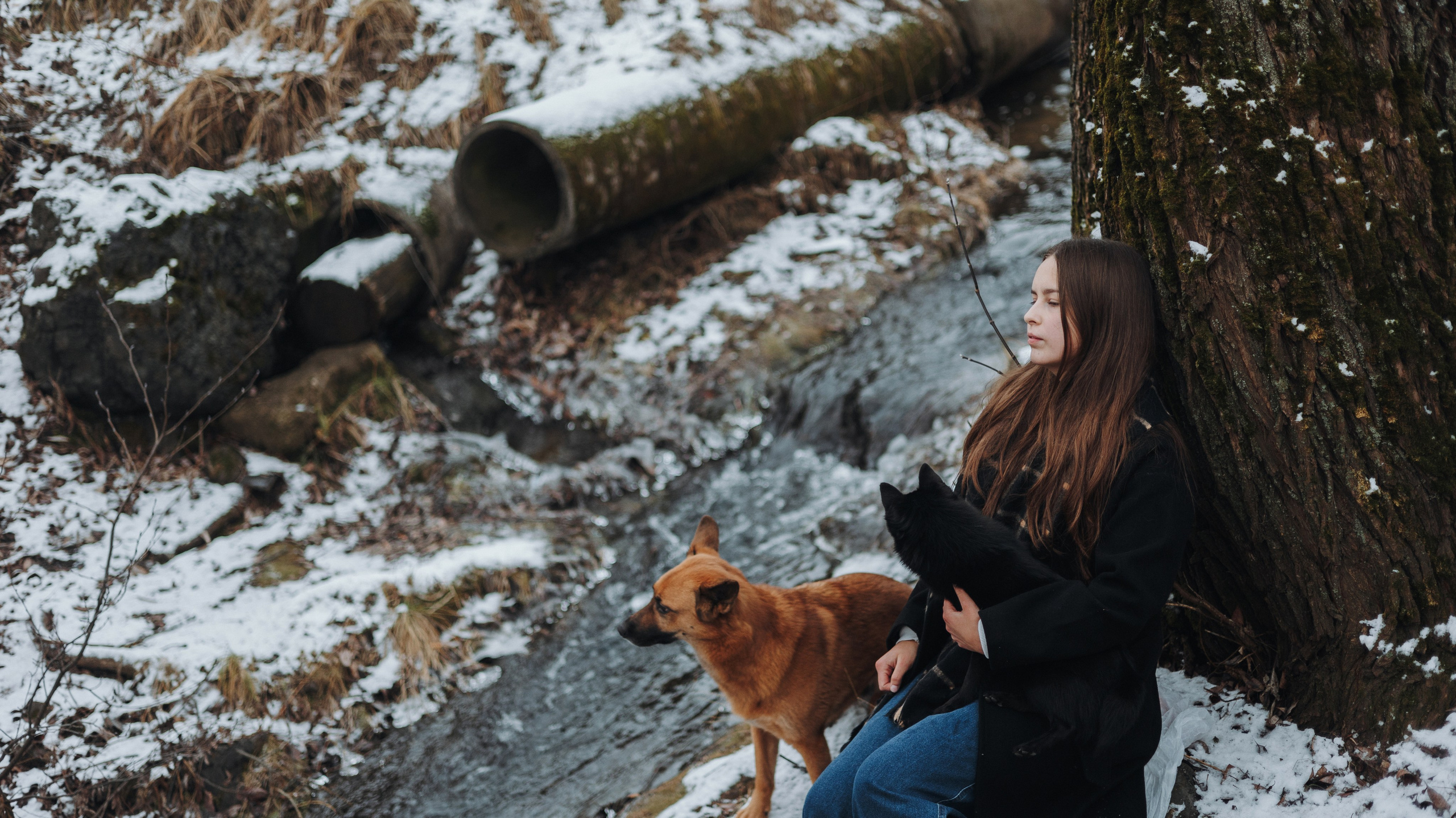 Юля, Лара и Йоми. Фотограф-анималист Богданова Полина