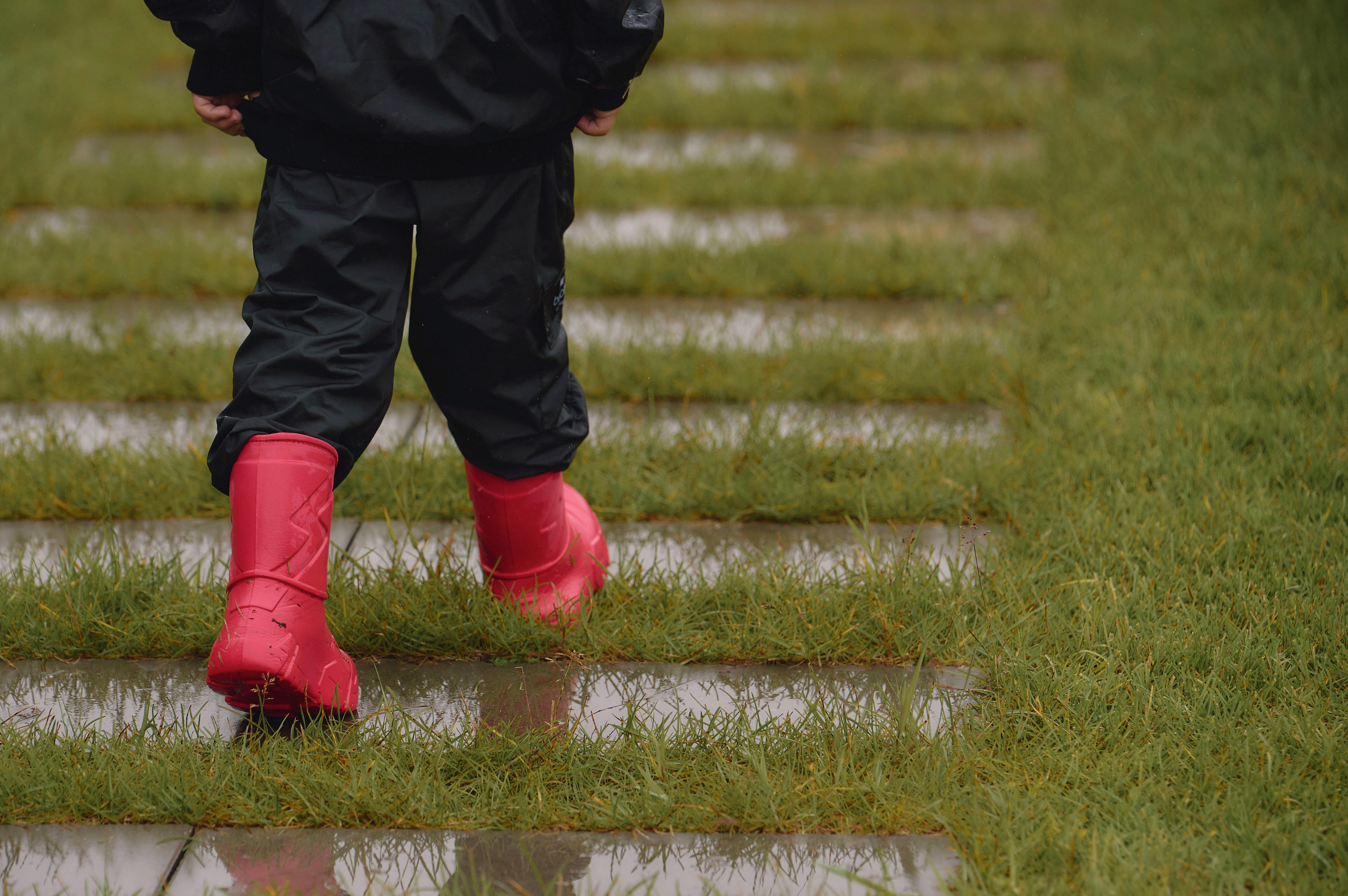 Боряше 6. Ваш мультижанровый фотограф Александр Белов
