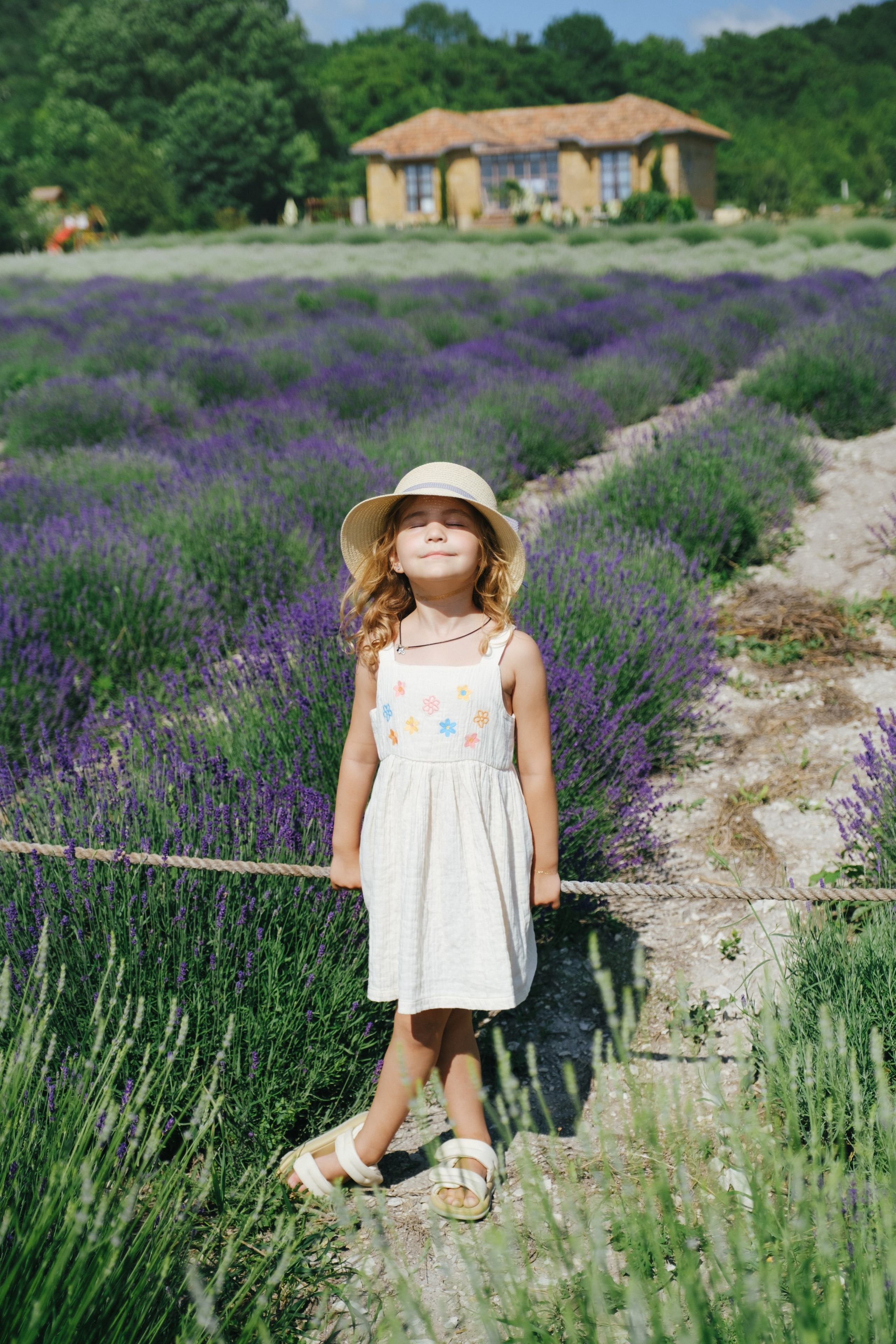 Лавандовые поля-Maison de Plantes. Свадебный Видеограф Фотограф в Сочи