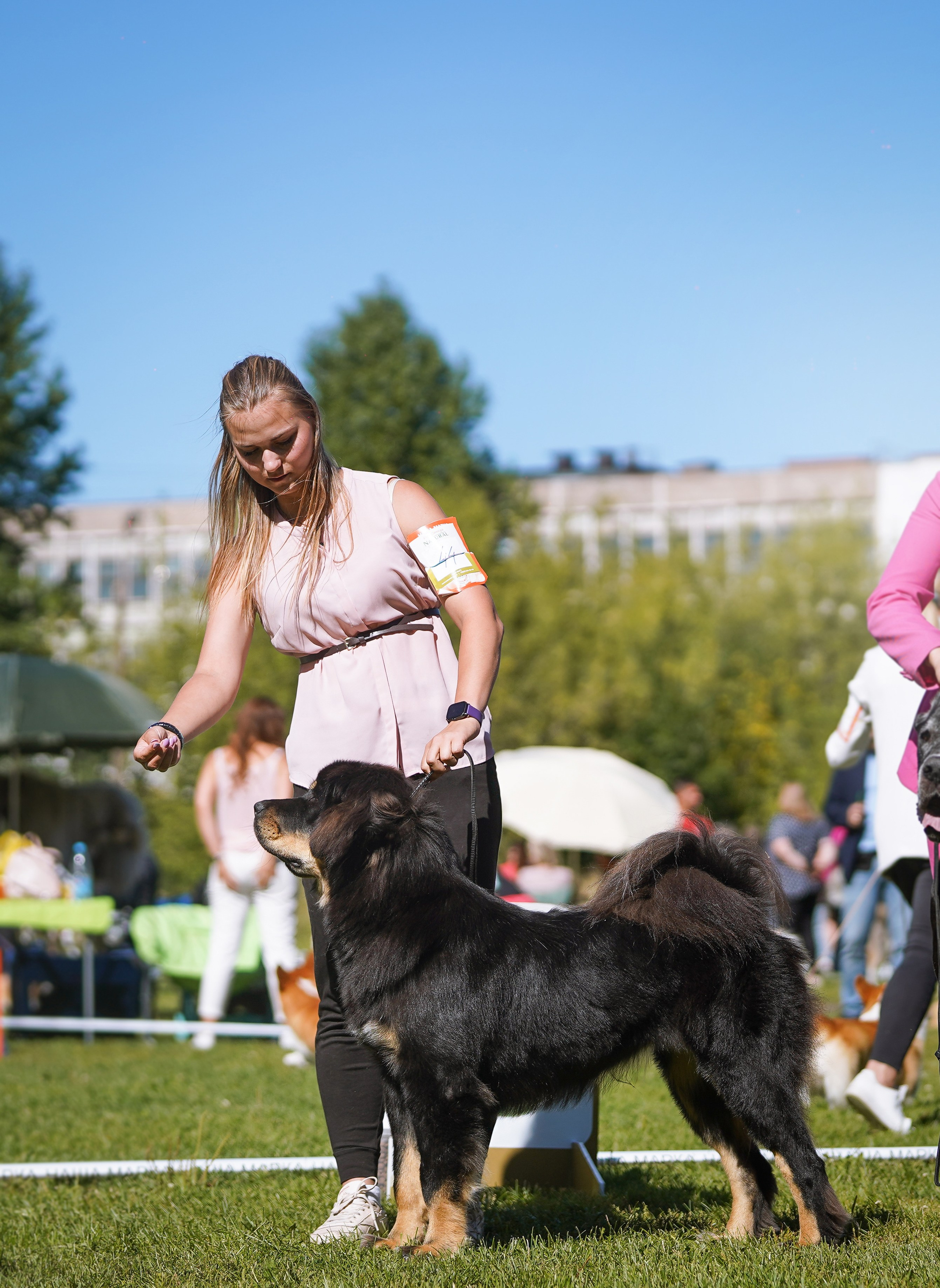 Выставки 2023. Фотограф-анималист в Санкт-Петербурге Яна Мартынова