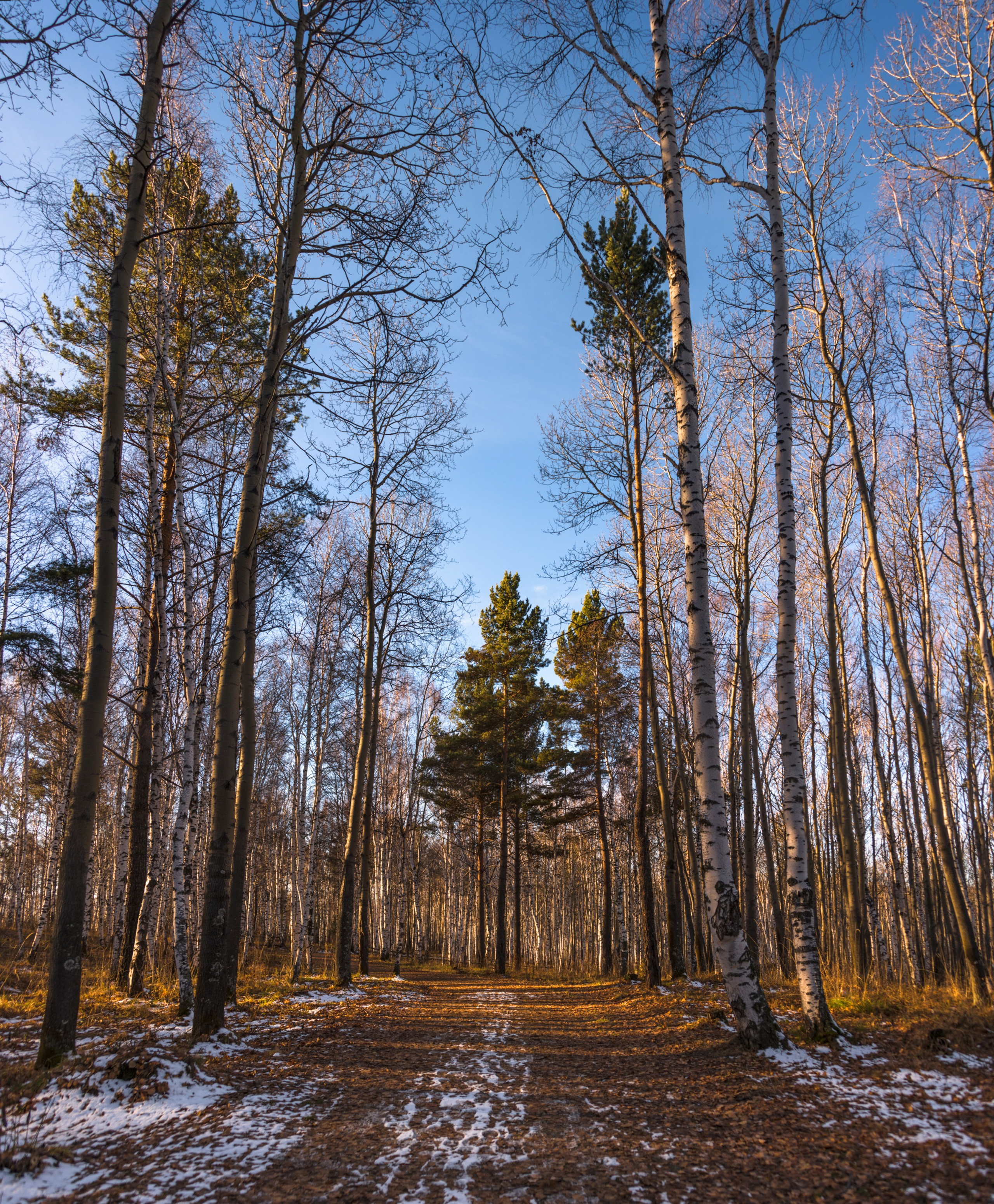 Иркутская область Тальцы. Фотограф Лара Кучина