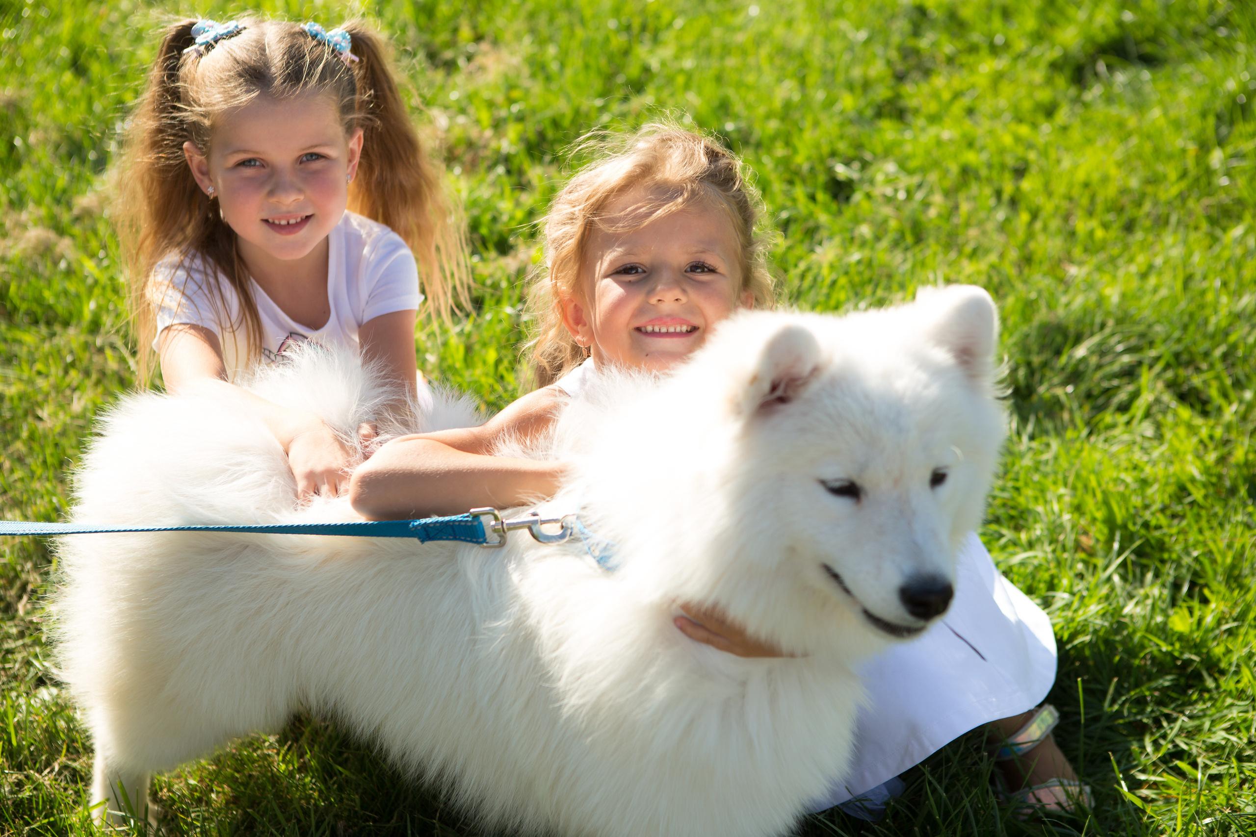 Конный клуб воздух оренбург. Фотограф в Оренбурге. Профессиональный фотограф