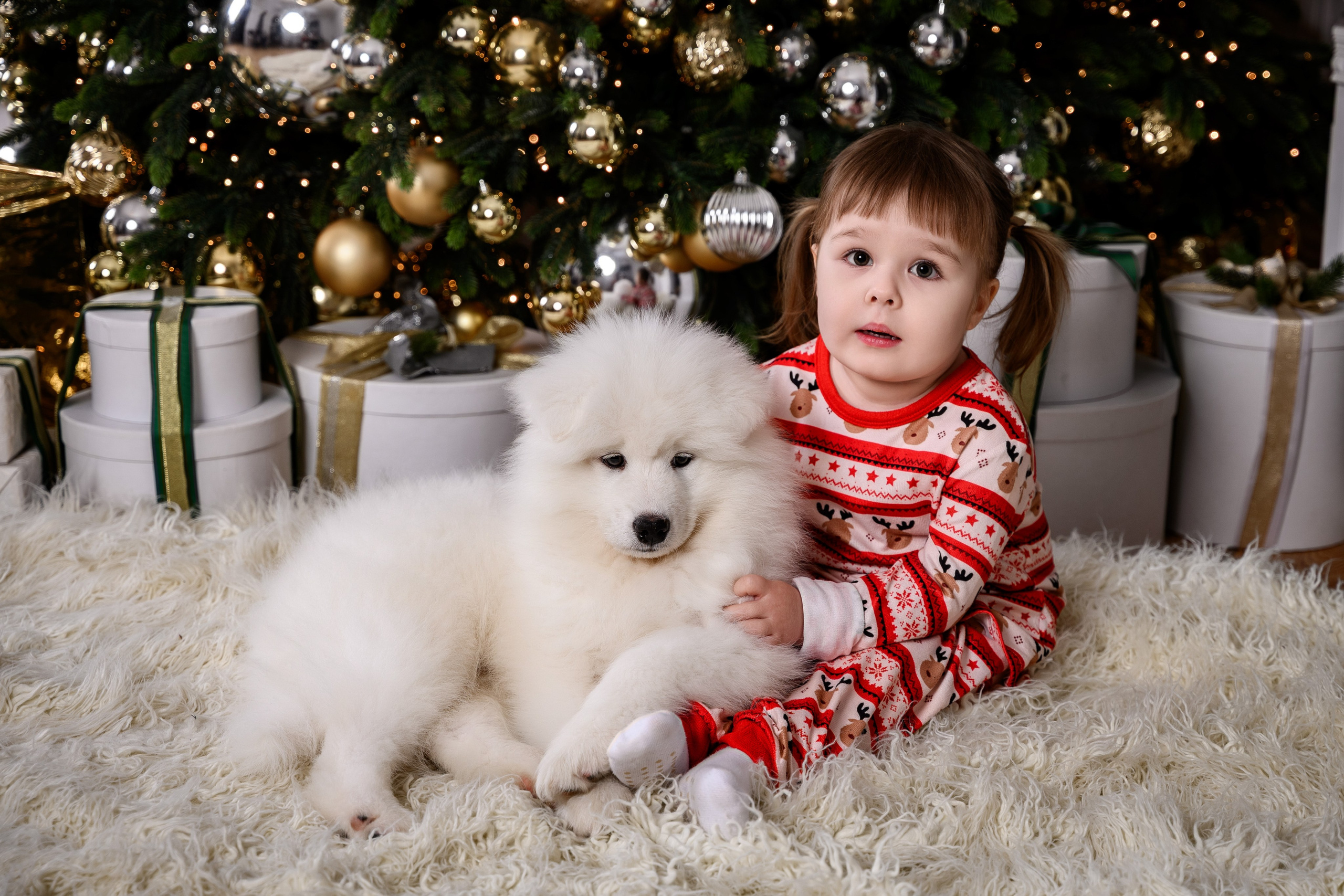 Фотосессия в студии, услуги и цены у профессионального портретного фотографа в СПб. Фотостудия, Портрет, Ню, Будуар, Детская фотосессия. Фотограф Алексей Лукин. Профессиональная фотосъёмка в Санкт-Петербурге. Обработка и Ретушь фотографий