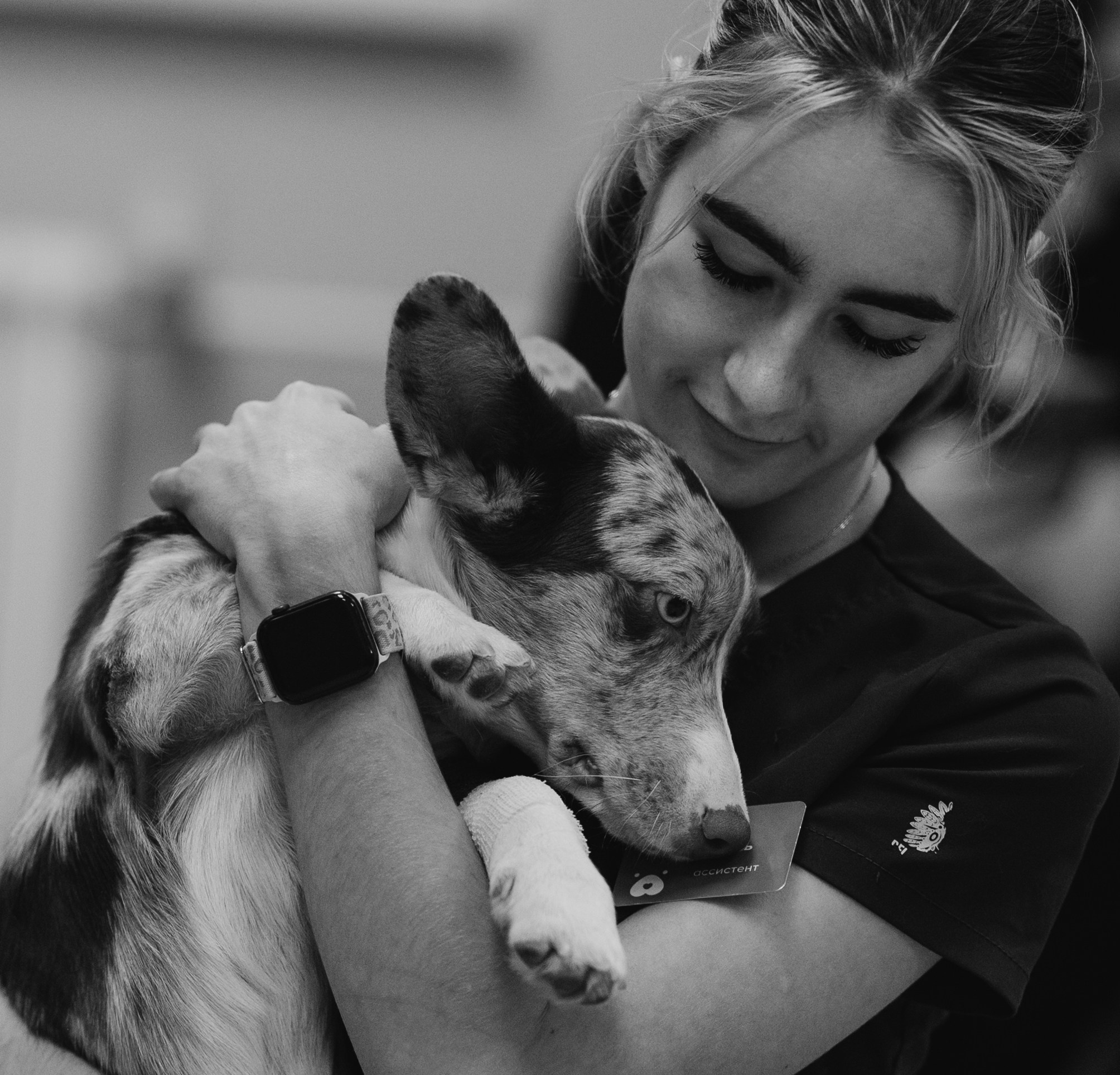 VetLife. Татьяна Афонина | Фотограф