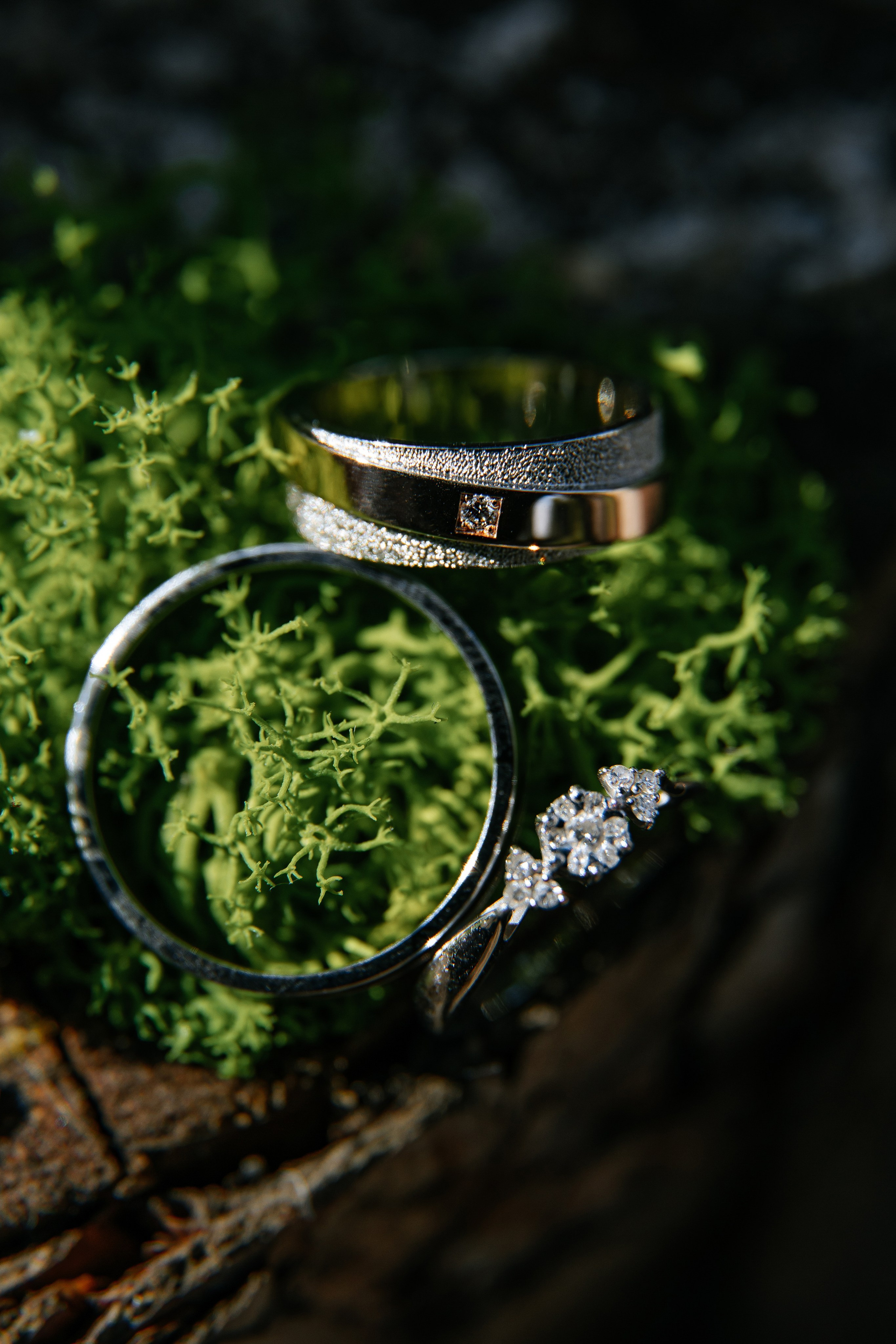 Ярослав и Аня