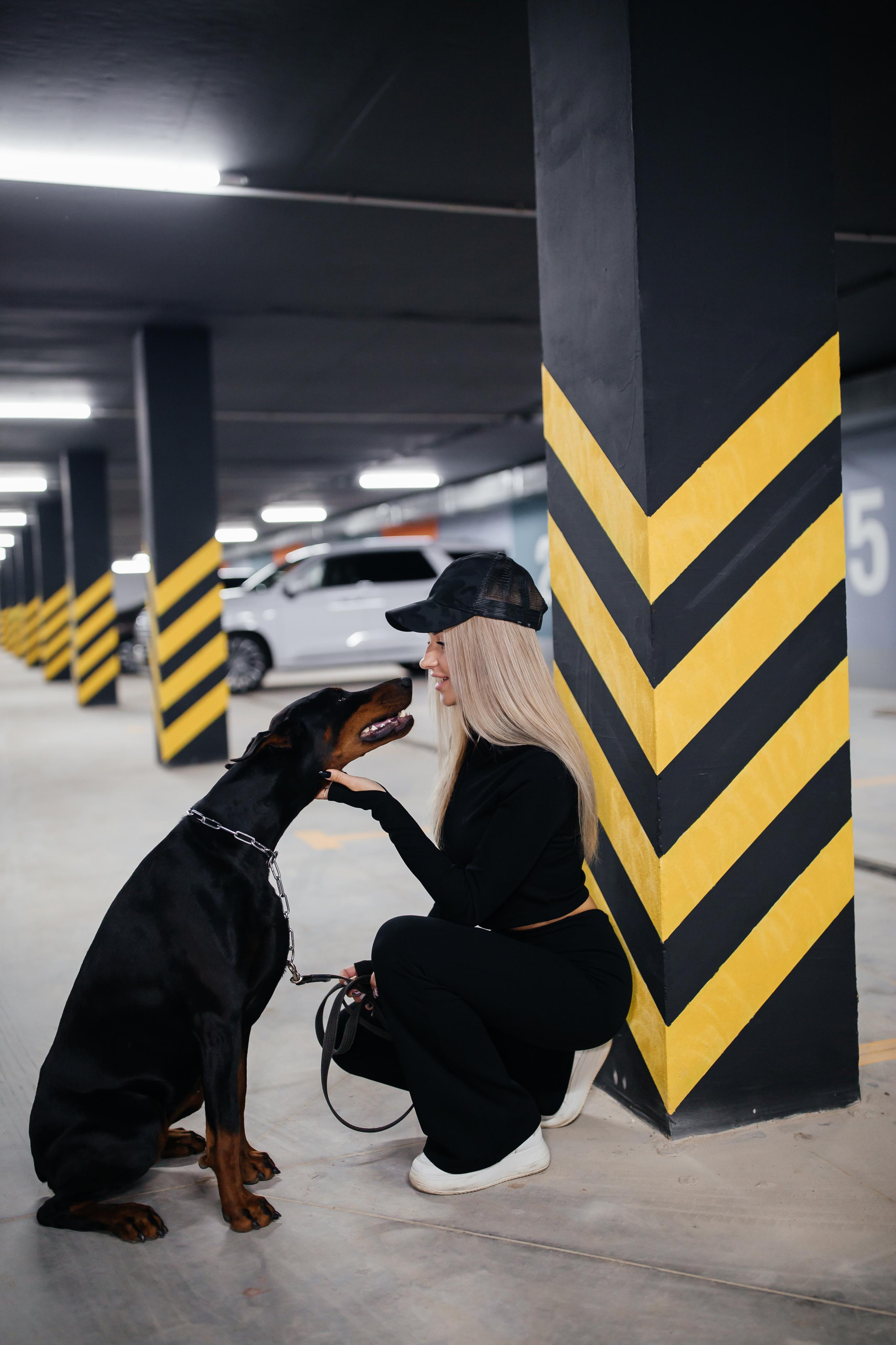 Фото дни с Доберманом. Свадебный фотограф в Москве и Твери