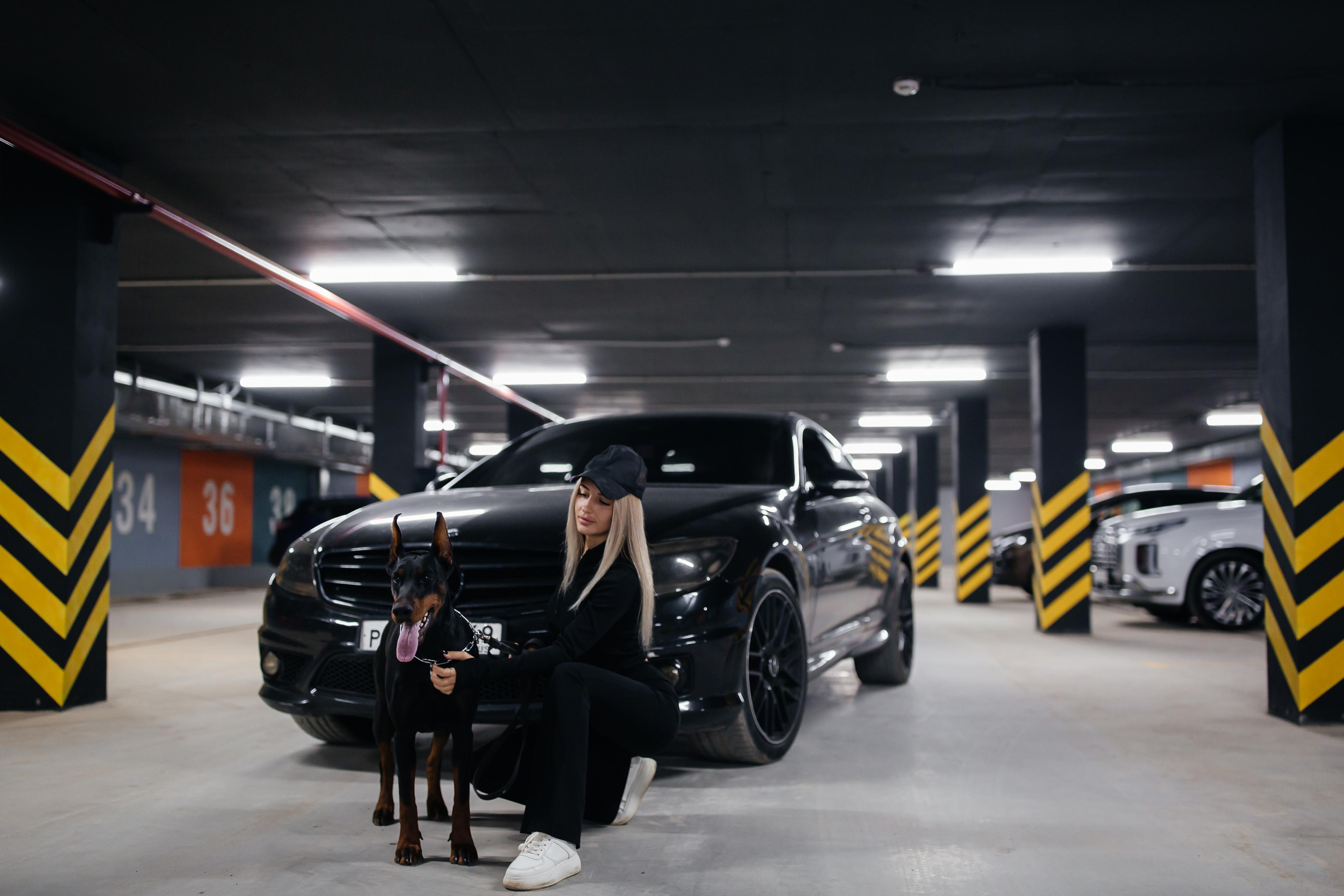 Фото дни с Доберманом. Свадебный фотограф в Москве и Твери