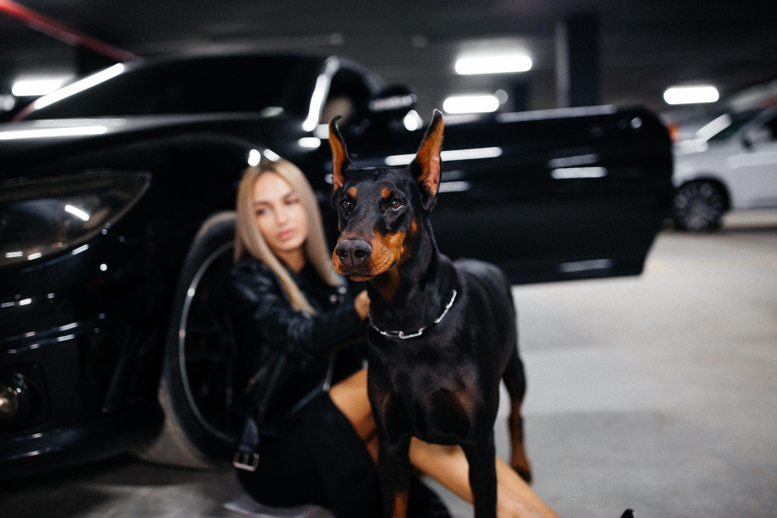 Фото дни с Доберманом. Свадебный фотограф в Москве и Твери