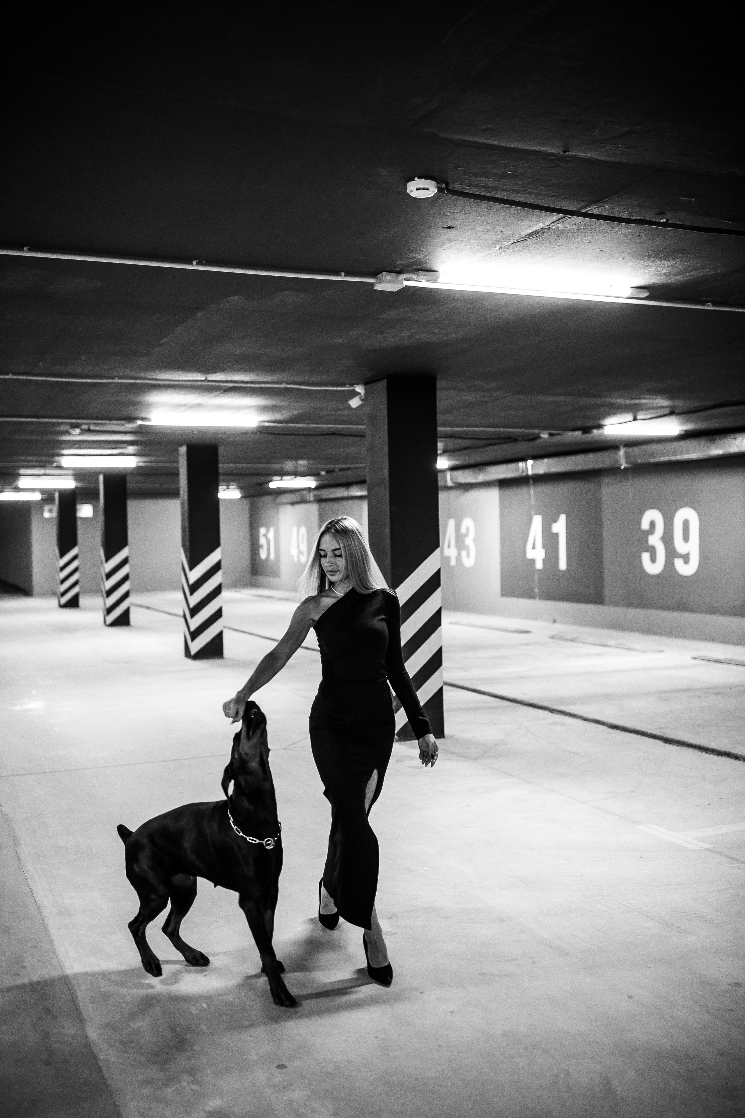 Фото дни с Доберманом. Свадебный фотограф в Москве и Твери