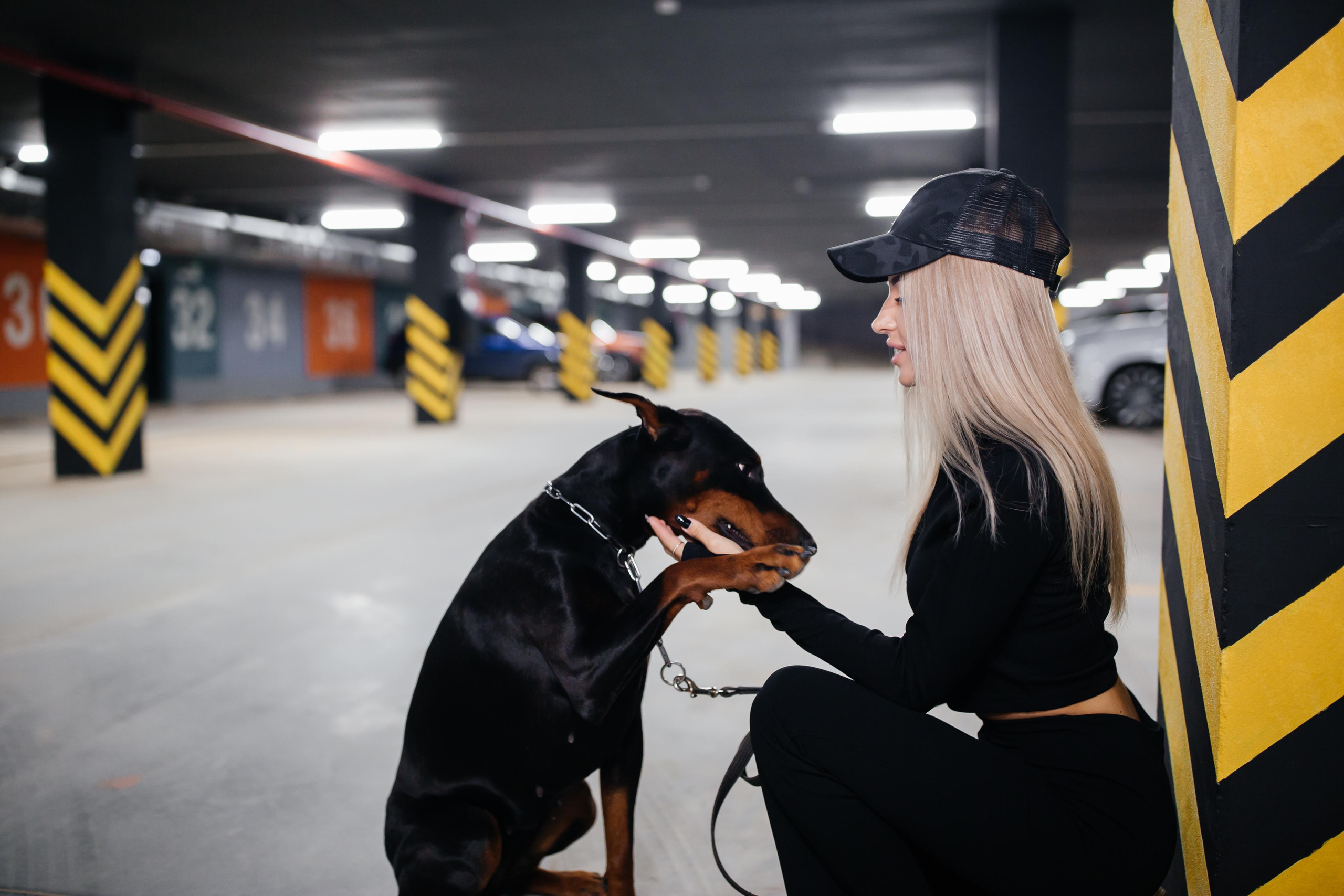 Фото дни с Доберманом. Свадебный фотограф в Москве и Твери