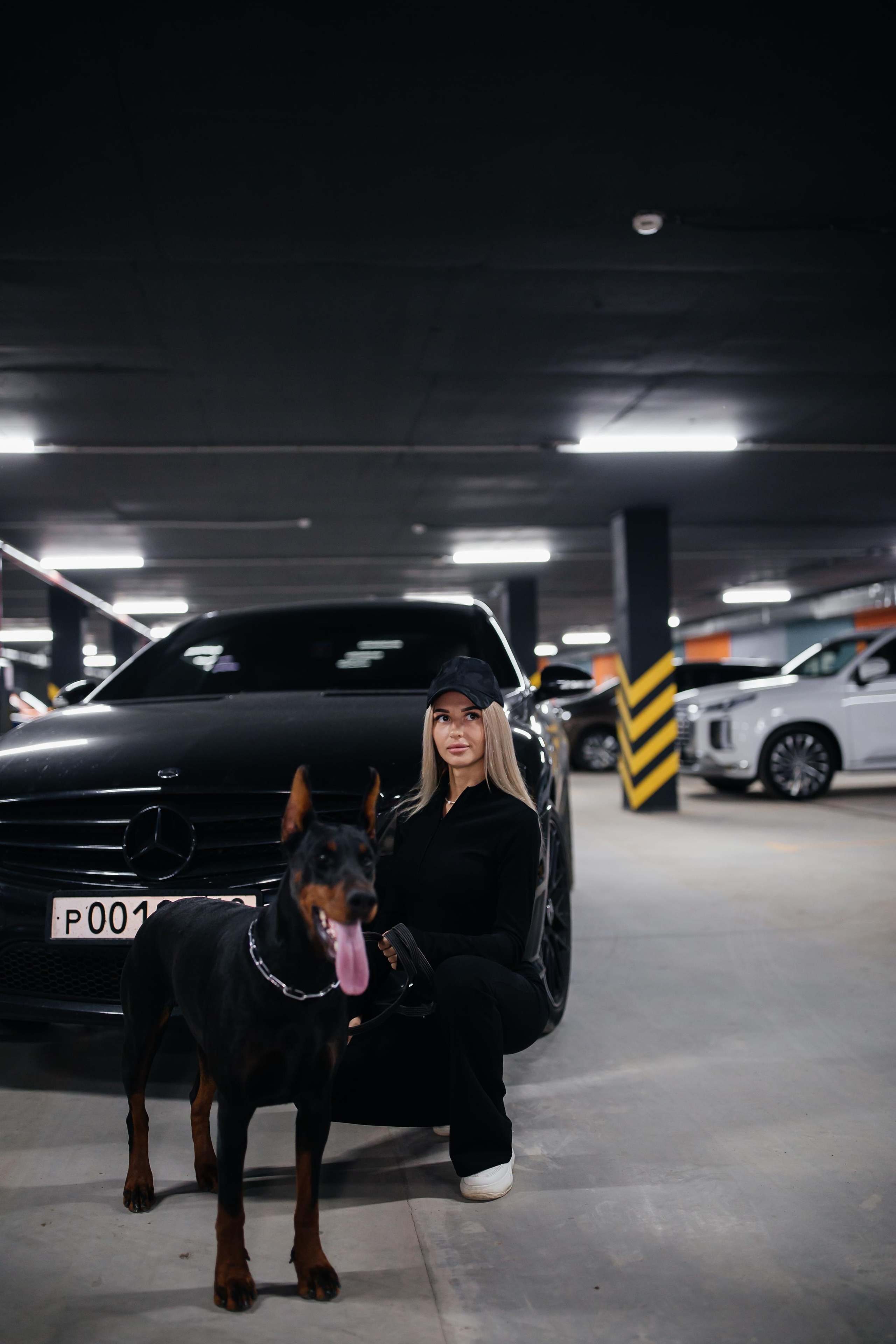 Фото дни с Доберманом. Свадебный фотограф в Москве и Твери