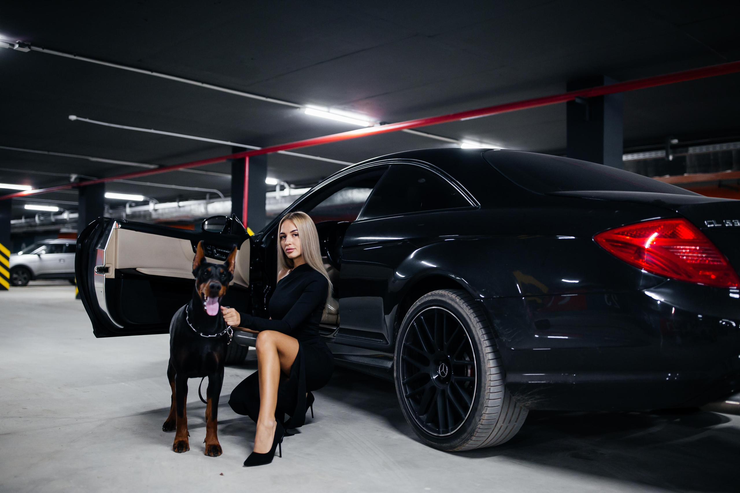 Фото дни с Доберманом. Свадебный фотограф в Москве и Твери