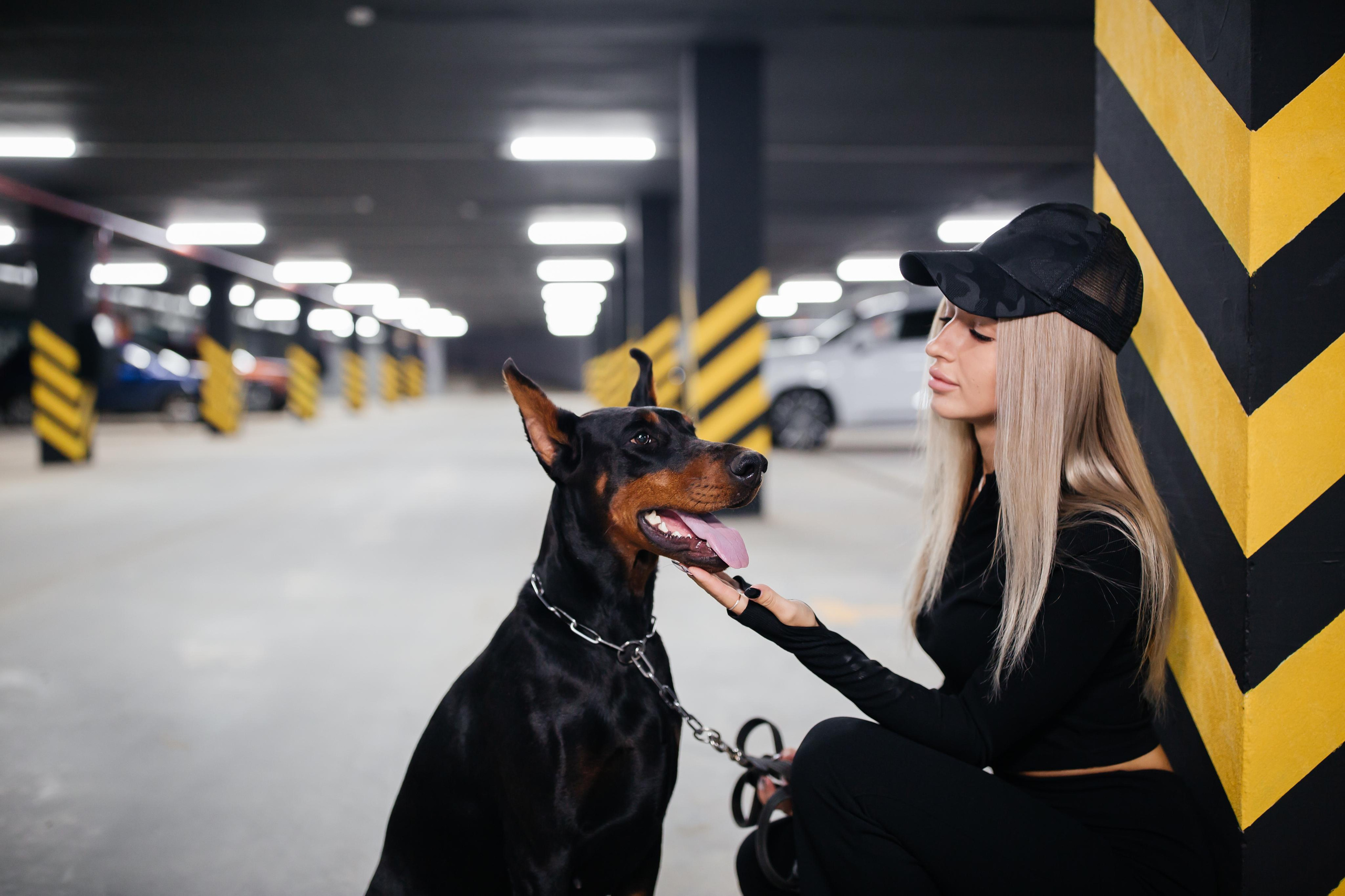 Фото дни с Доберманом. Свадебный фотограф в Москве и Твери