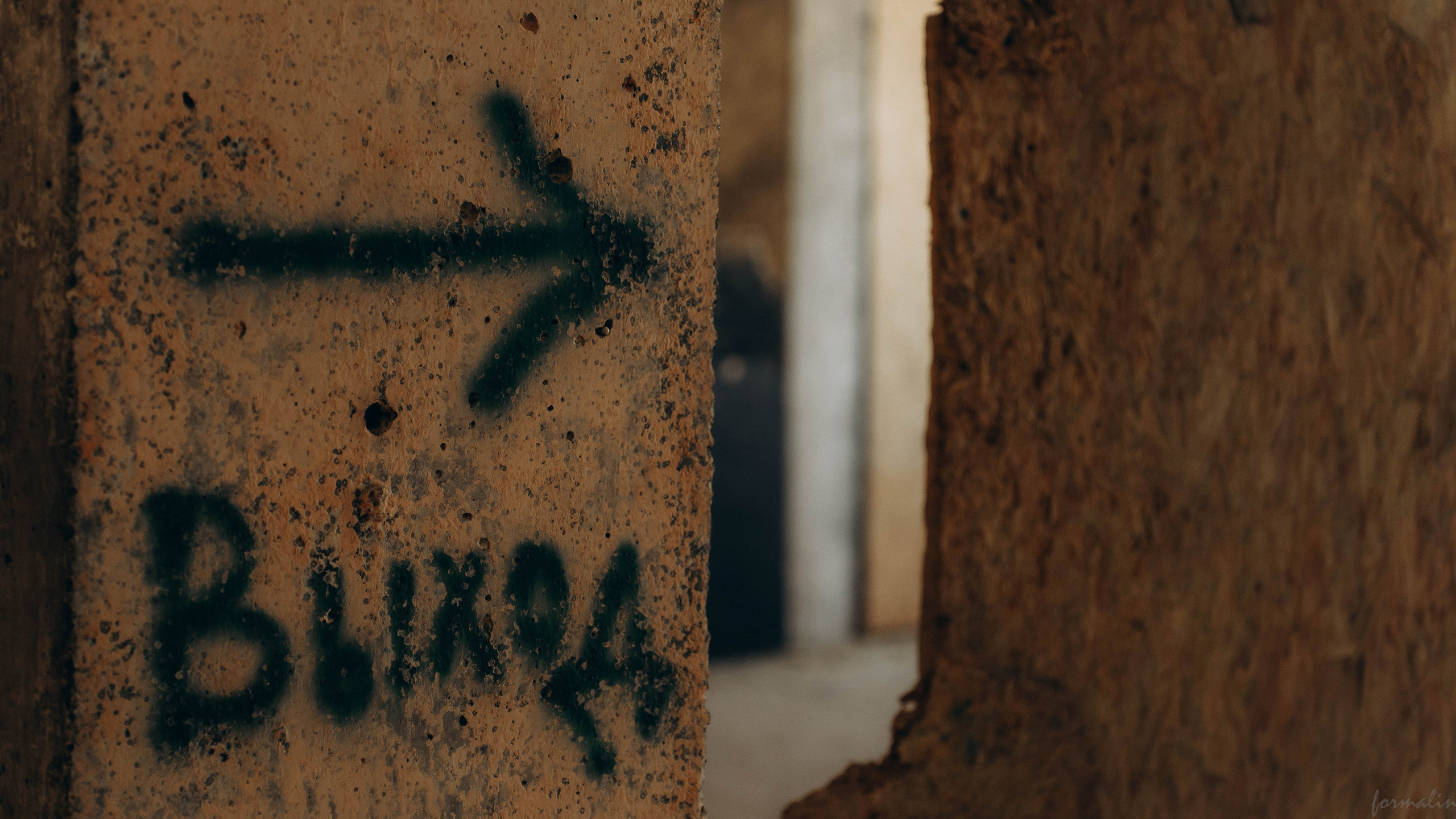 Соревнования «Бункер». Алиса Никитцова | Фотограф в Казани