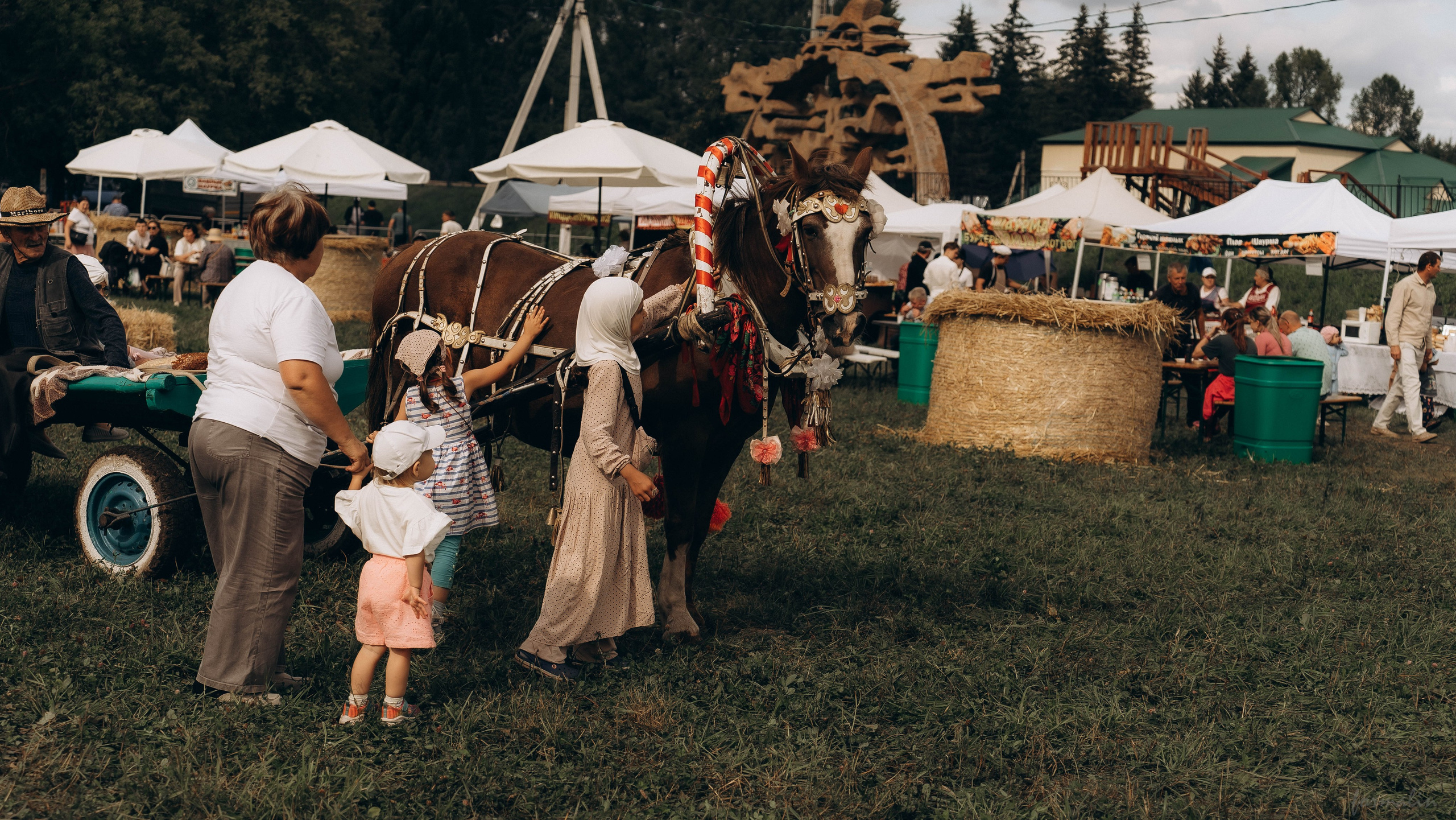 День Коня. Алиса Никитцова | Фотограф в Казани