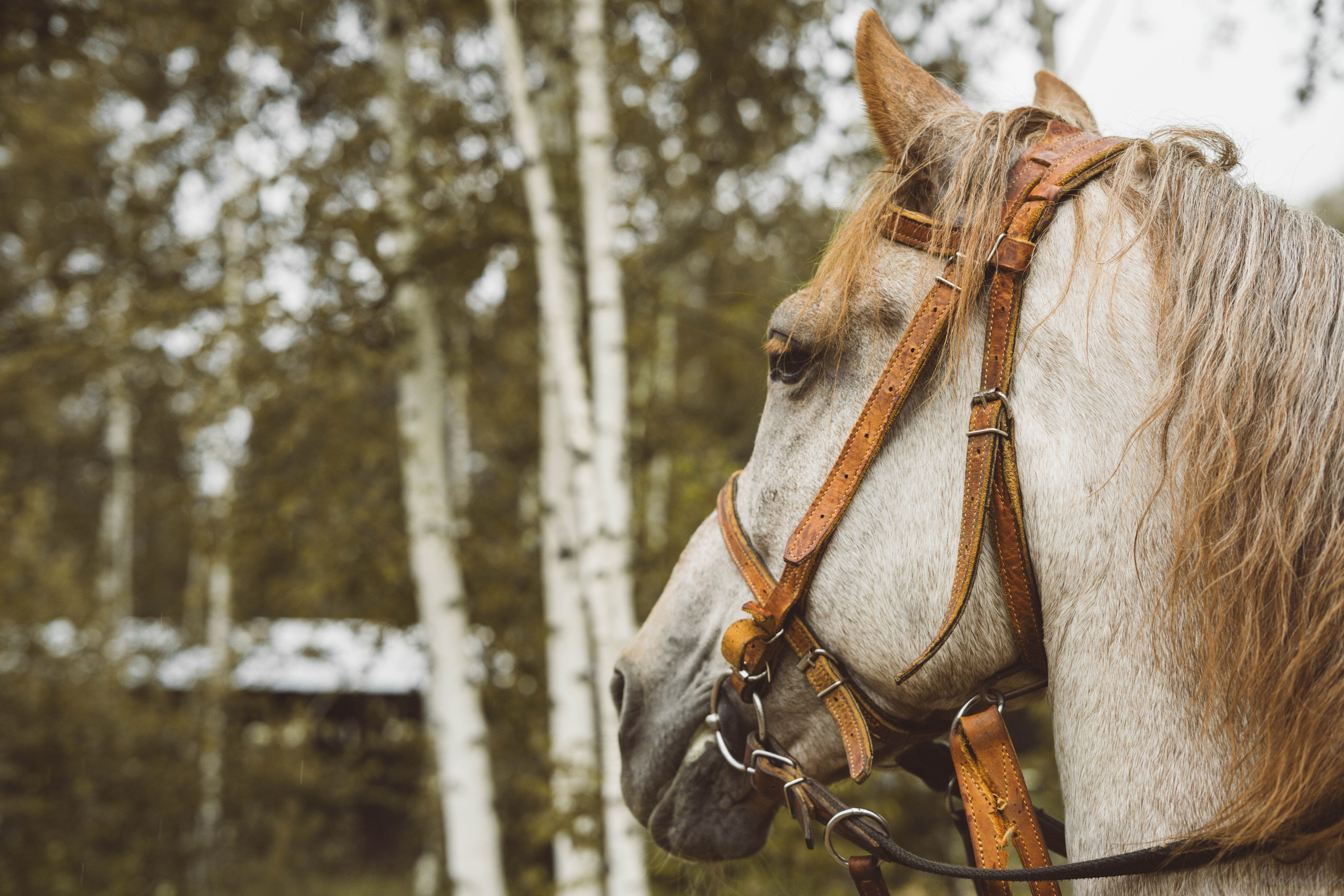 Марш в прошлое. Алиса Никитцова | Фотограф в Казани