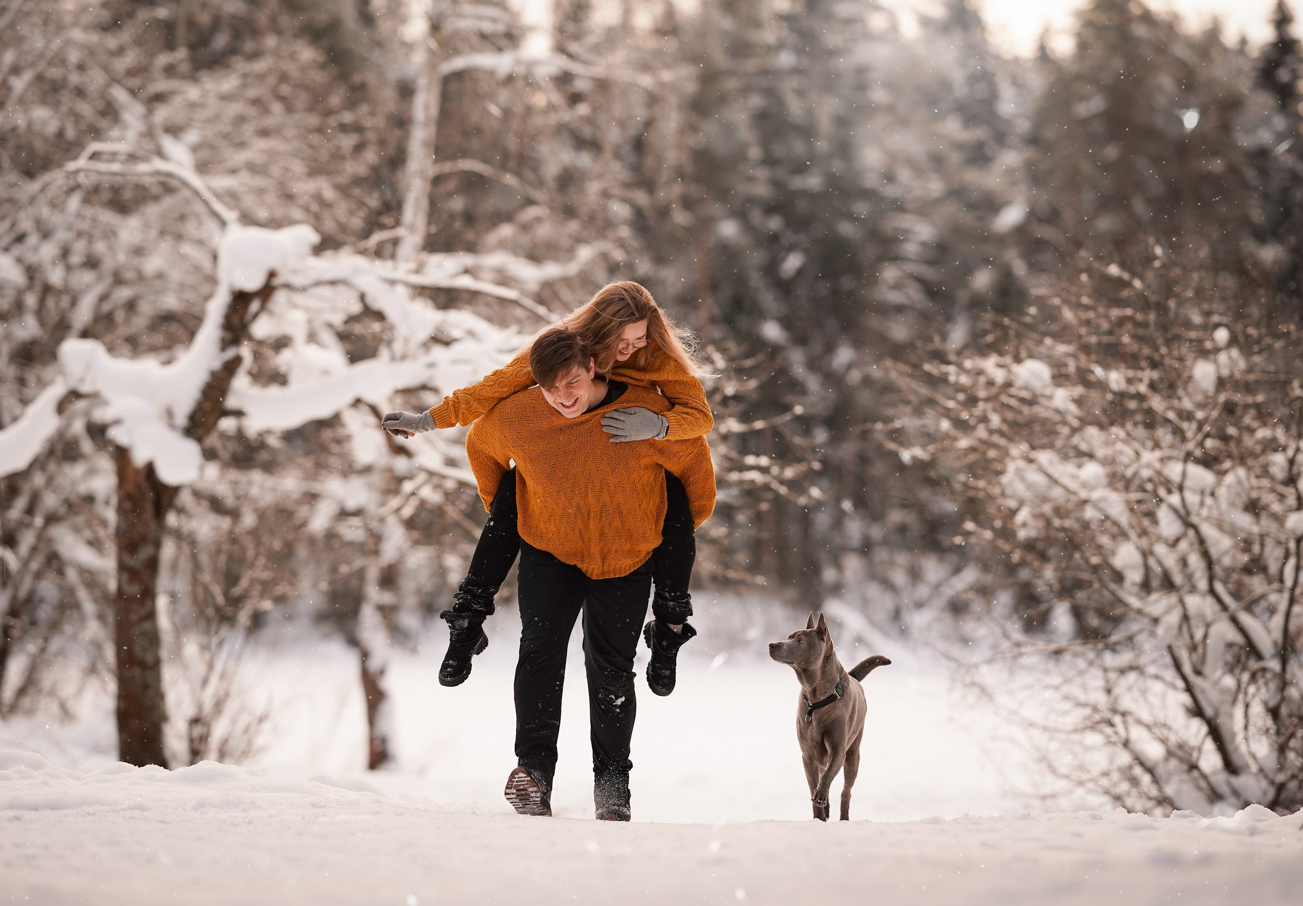 Даша Илья Вениамина и Мэдиссон. Фотограф-анималист в Санкт-Петербурге Яна Мартынова