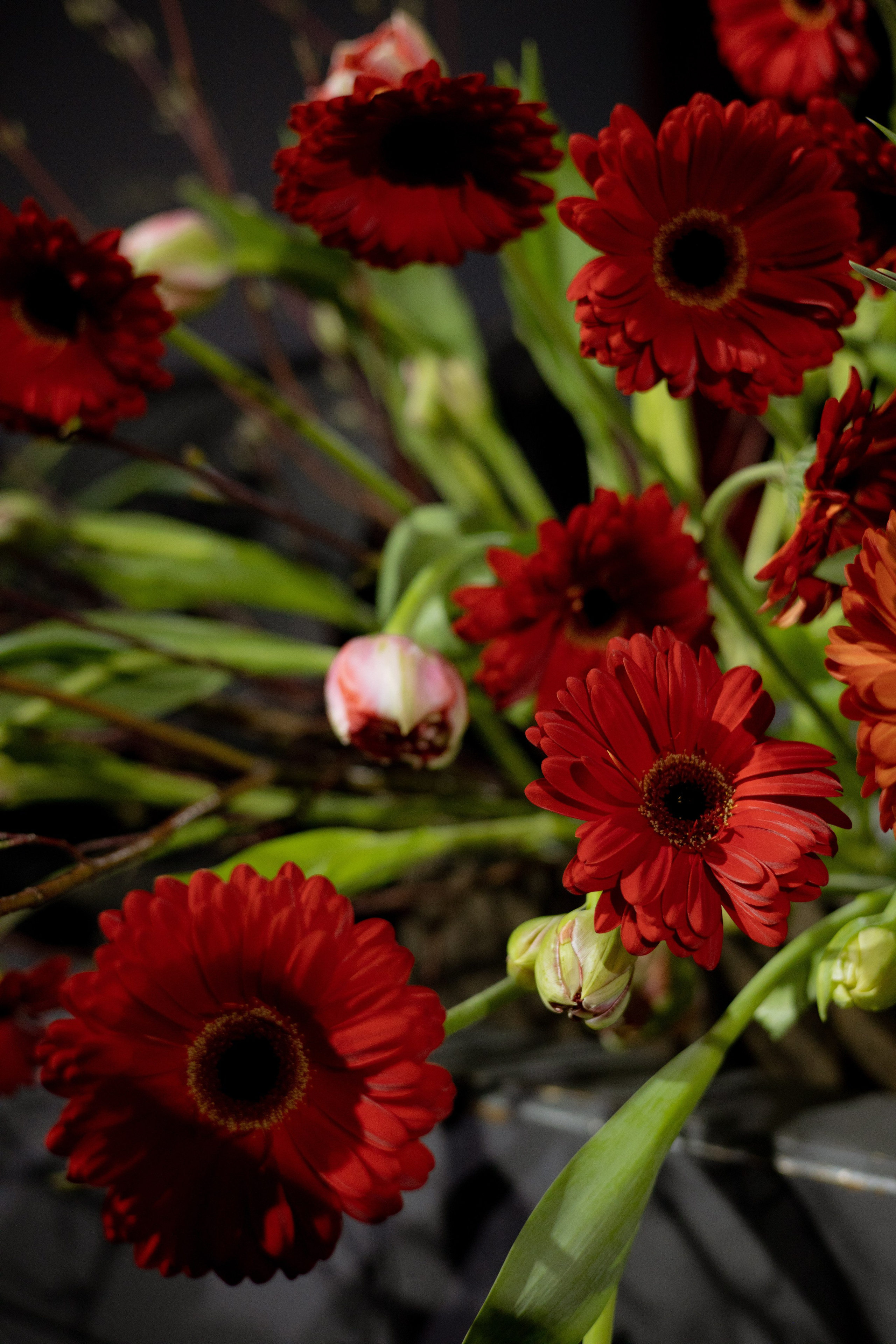 Оформление Отчетного концерта Музыкальной школы Глазунова. Оформление свадеб, декор свадеб Вера Маркова, Москва