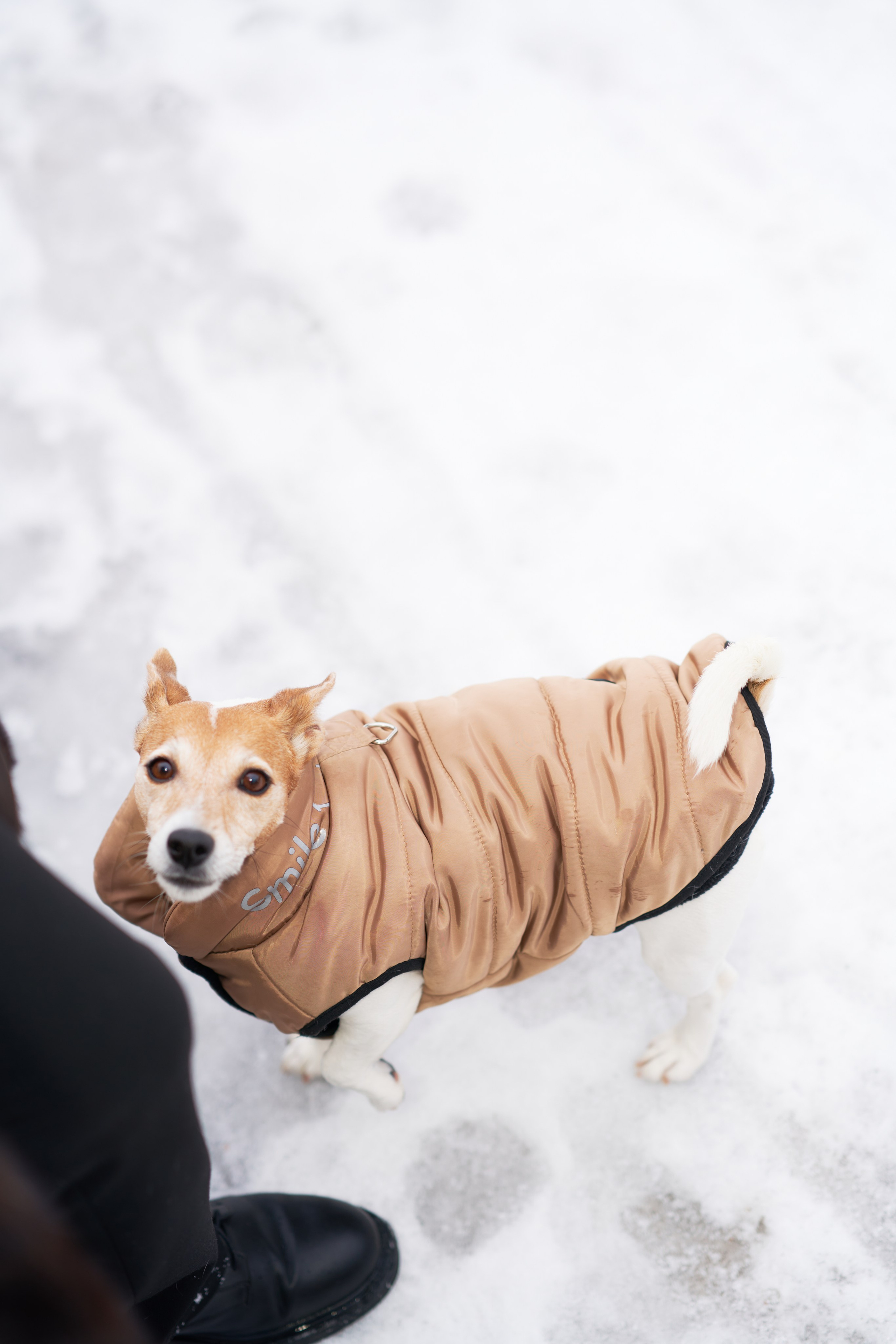 Новый Год. Семейный, детский и рекламный фотограф в Москве Ольга Сухачева