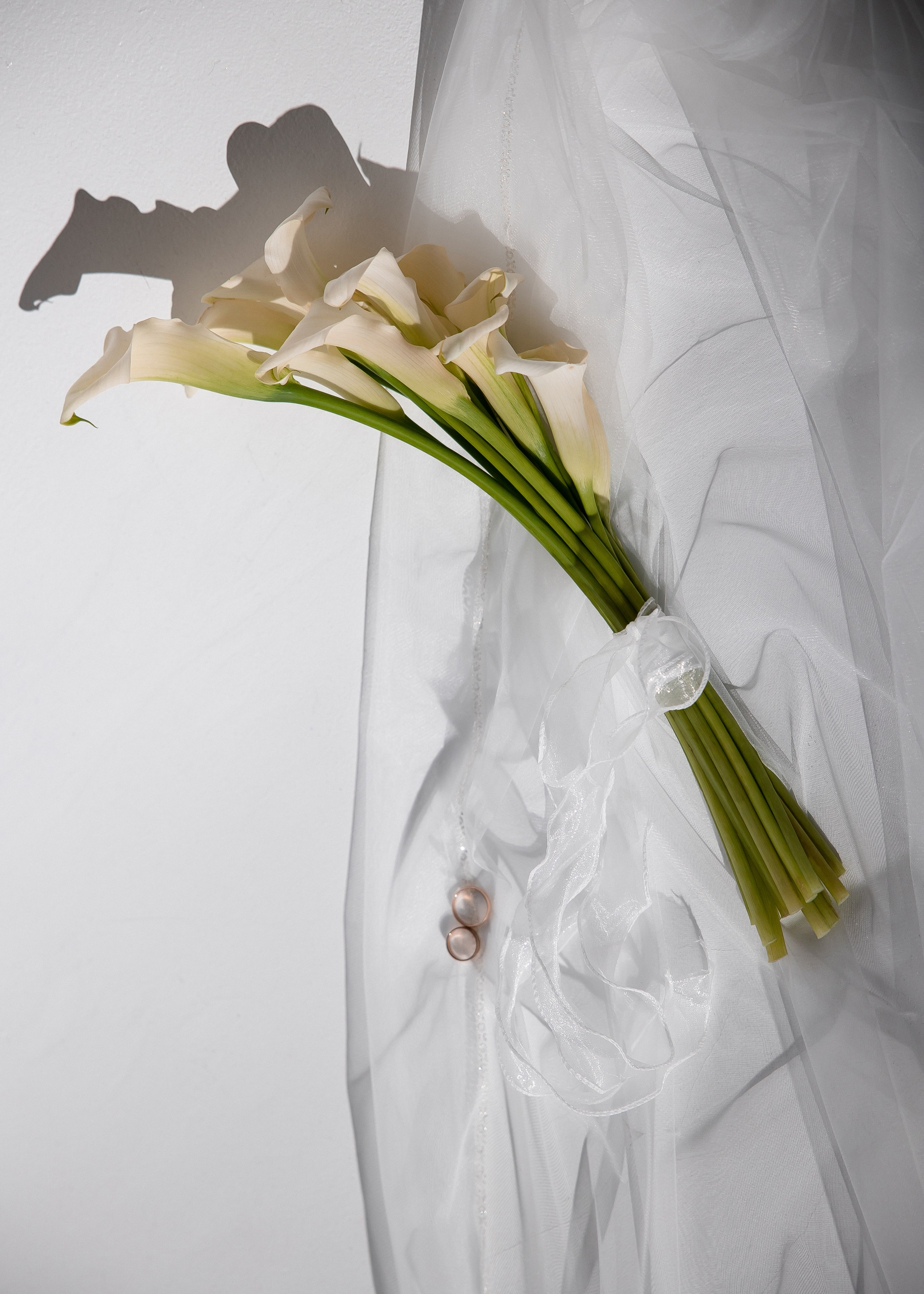 Яна + Максим. Свадебный и семейный фотограф в Саратове Маша Паника