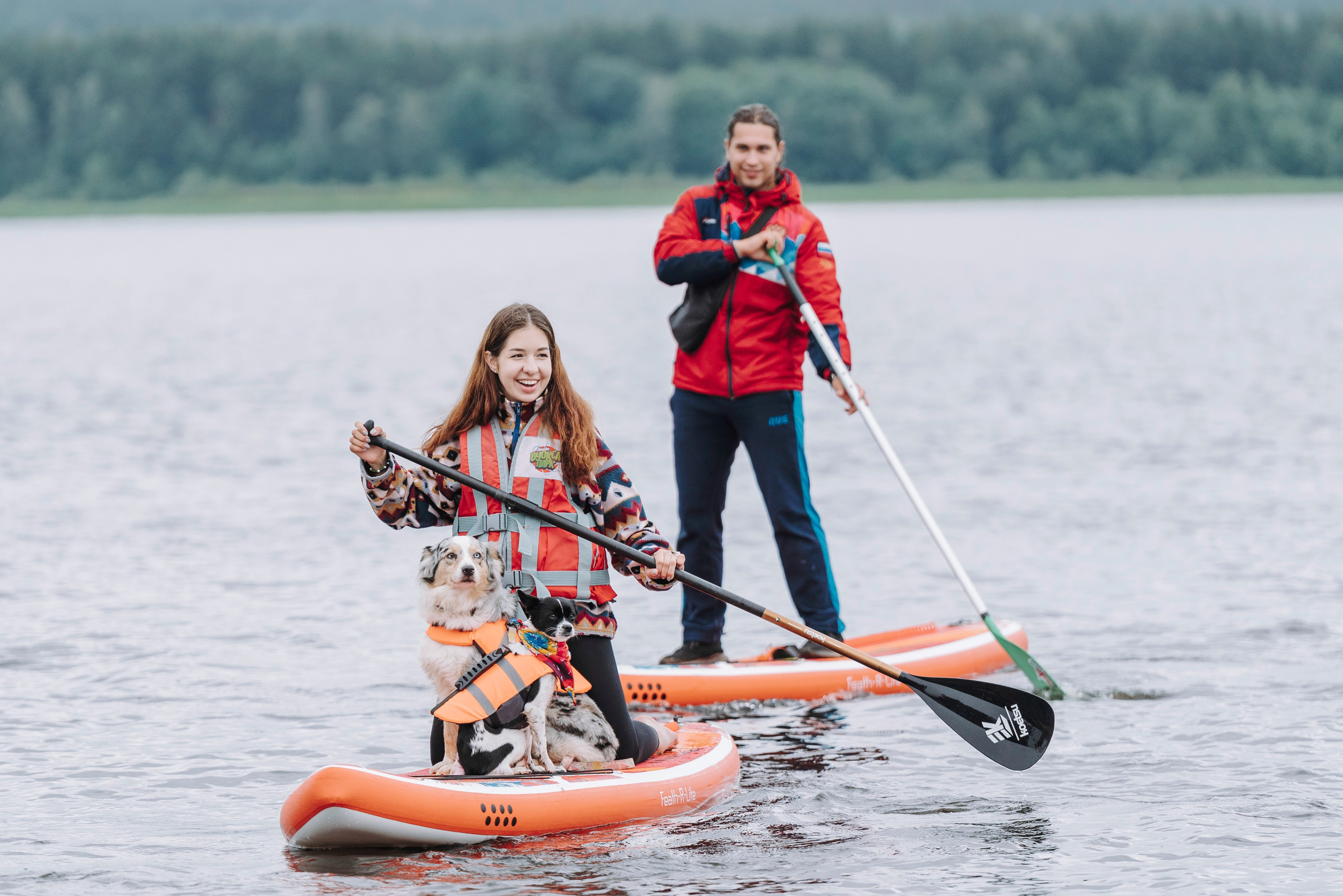 Катание на сапах с собаками. Фотограф анималист в Спб недорого Олеся Майорова
