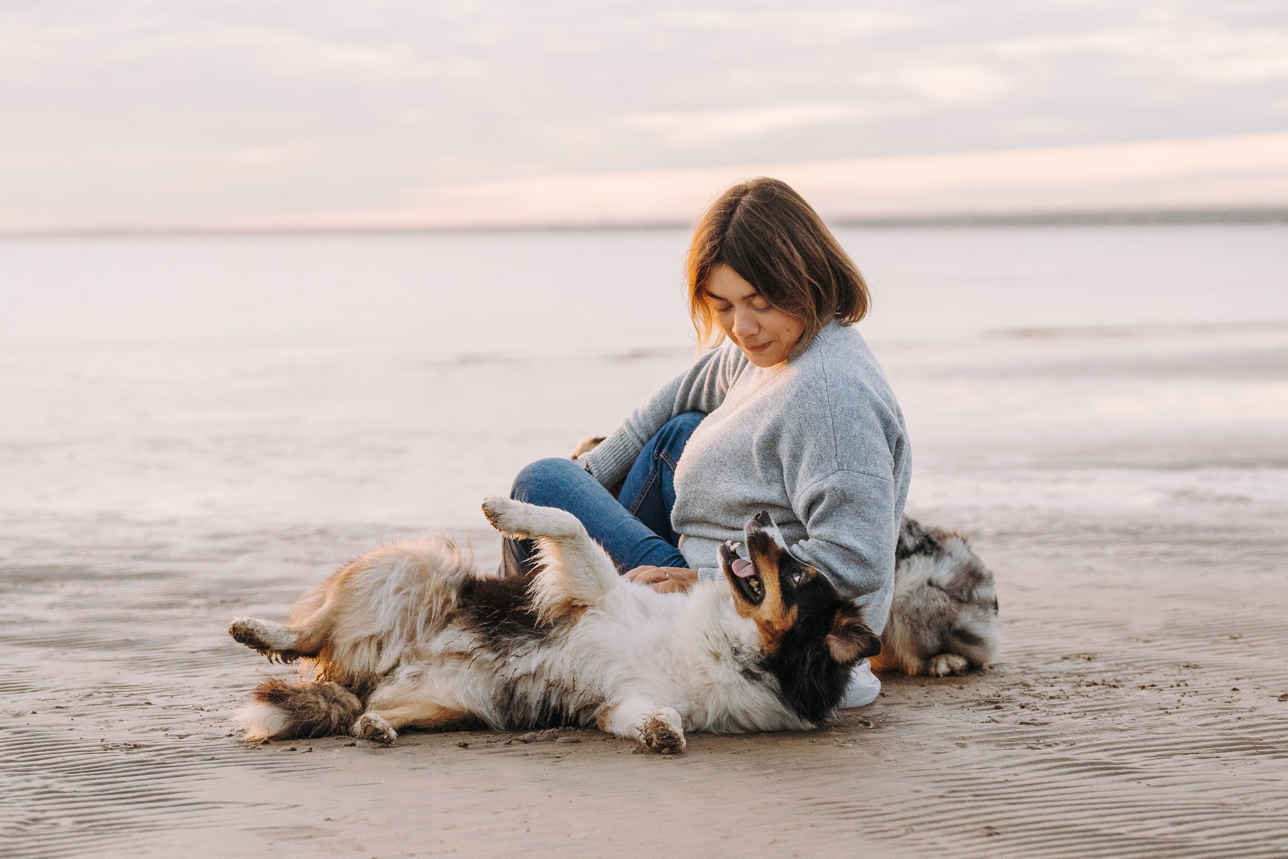 Фотограф анималист в Спб. Фотограф анималист в Спб недорого Олеся Майорова